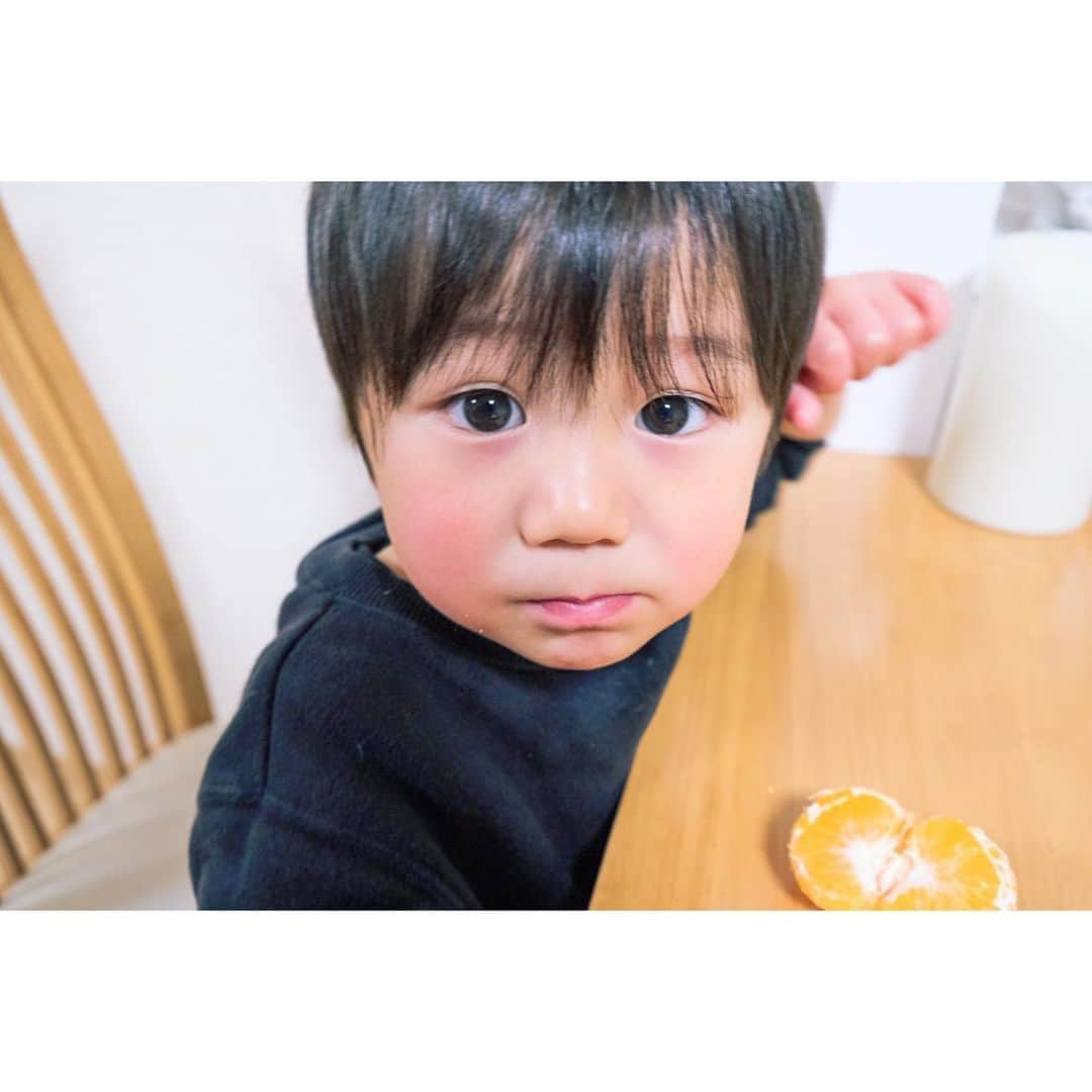 Ai.tさんのインスタグラム写真 - (Ai.tInstagram)「. みかんを🍊箱でいただいたら 毎日何個も何個も食べたいとなる昊也🤣 . 美味しいもんね〜みかん🍊 こたつが欲しくなる🥺 私絶対動かなくなるからパパにとめられてます🤣 . .  #FUJIFILM #fujifilm_xseries #xt30 #今日もX日和 #tokyocameraclub #東京カメラ部 #photo #写真 #子どもの写真 #カメラ #ファインダー越しの私の世界 #何気ない瞬間を残したい #ママカメラ #RECO_ig #私の見る世界」1月10日 20時38分 - ngs.rky.kuy