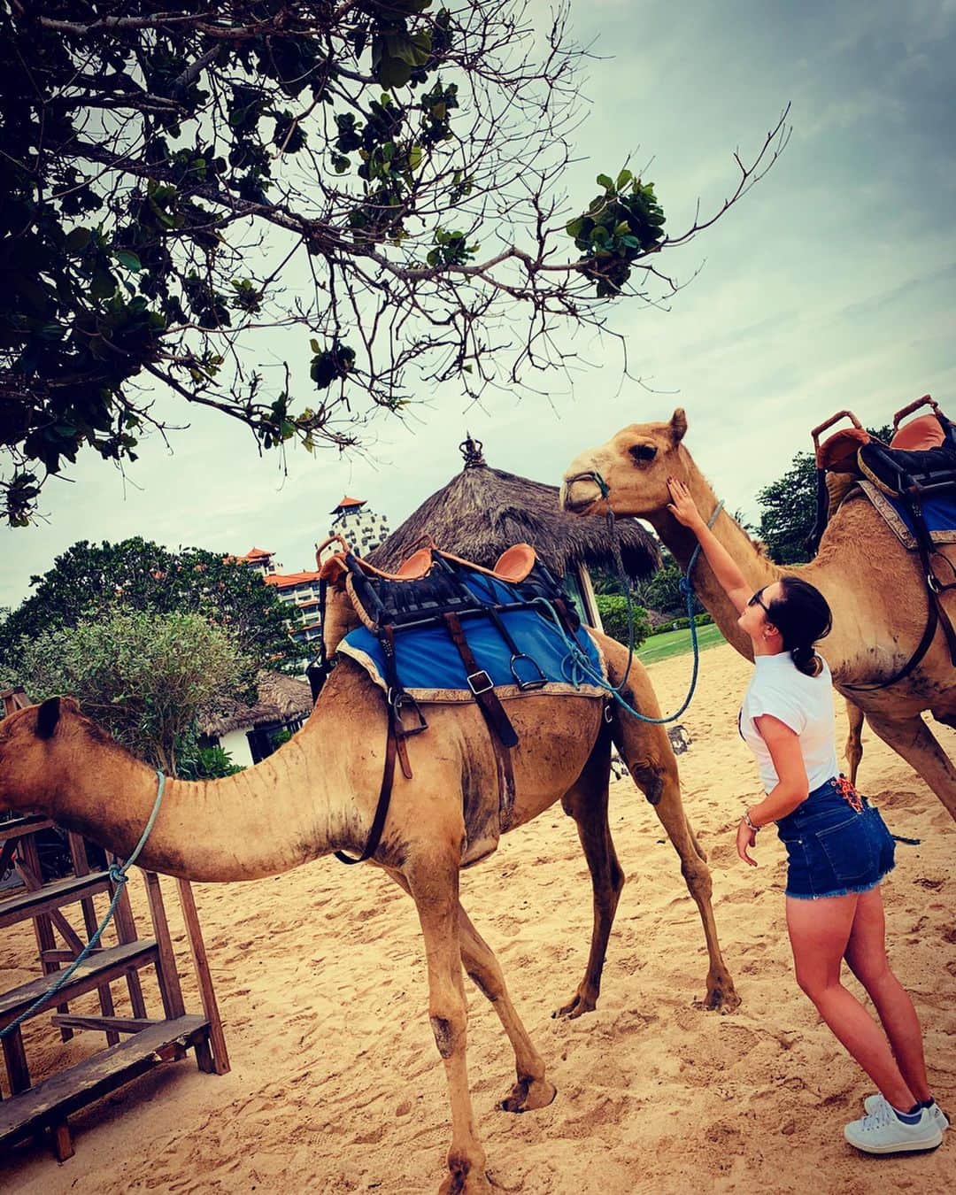 森田遥のインスタグラム：「🐪ラクダさん🐫 #背中のコブは脂肪 #驚異的なまつ毛の長さ #まつ毛欲しい#大きな目が羨ましい #目は大事#紫外線対策#サングラス#eyevol」