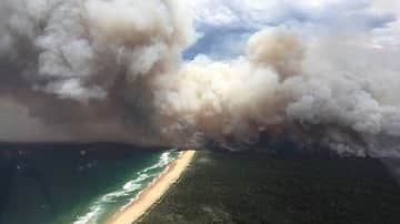エミリー・スコットのインスタグラム：「Continuing to support @redcrossau and @wireswildliferescue during such an incredibly tough time. Positive note, Aussies rallied today for #climatechange . For our government to take better care of our country. Listen to the experts. Be better for this planet, and help cultivate a healthy environment.」