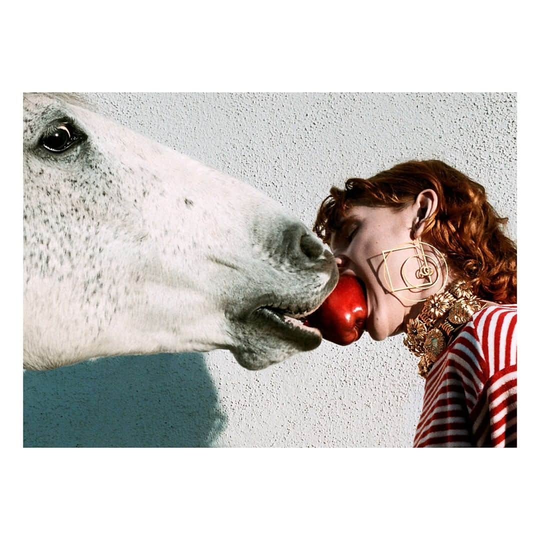 グッチさんのインスタグラム写真 - (グッチInstagram)「Sharing an apple with nine-year-old horse Fad, an image from #OfCourseAHorse the #GucciSS20 campaign featuring the new collection by @alessandro_michele. Watch the full campaign video through link in bio. #AlessandroMichele」1月10日 22時00分 - gucci