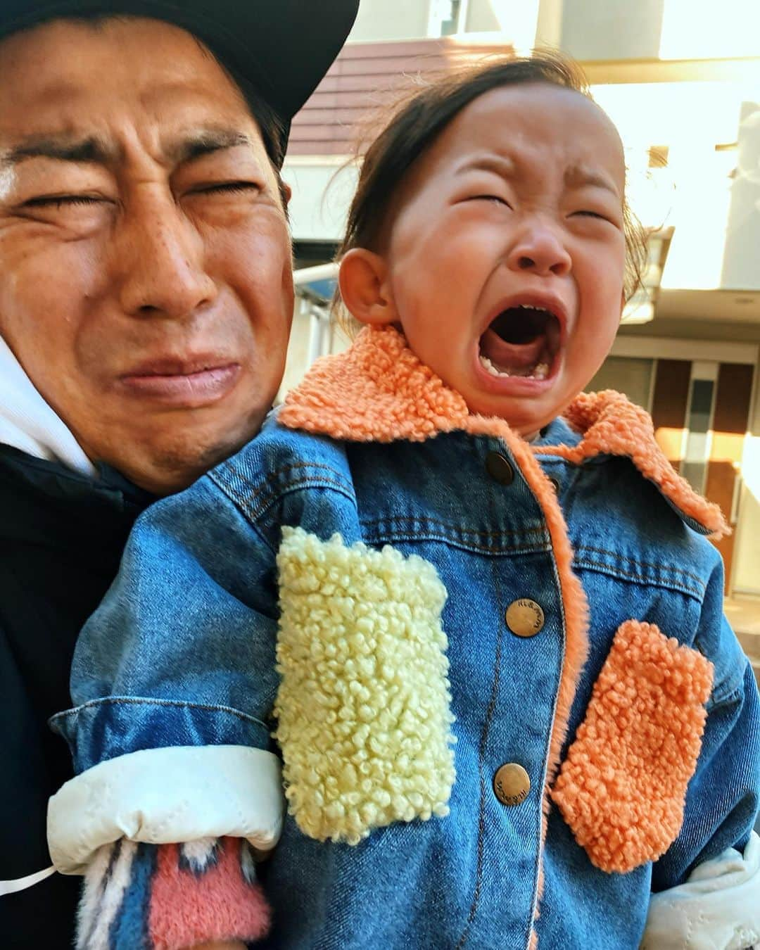 尾形貴弘さんのインスタグラム写真 - (尾形貴弘Instagram)「泣きたい気持ちはよく分かる！！！！ さくちゃんイヤイヤ期突入！  #柴犬大好き #柴犬マニア  #愛犬  #赤柴 #しばけん  #しばちゃん  #しばいぬ大好き  #shibainu  #shiba_snap  #犬ばか部  #いぬばか部 #ミク #三九 #39 #パンサー尾形 #赤ちゃん #赤ちゃんのいる暮らし #赤ちゃんと犬 #1歳10カ月 #ミクサクタカヒロ #サンキュー #ママリ #ベビフル」1月10日 14時10分 - miku3_miku_9