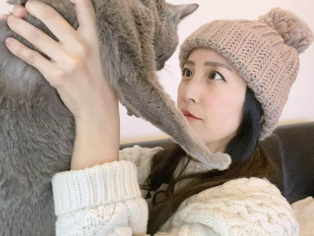 来栖あつこさんのインスタグラム写真 - (来栖あつこInstagram)「寒いとスリスリ。﻿ ネネさん寄ってくる🐾﻿ ﻿ ﻿ お腹がすくと、目を見て「にゃーん」﻿ はらぺこアピール。﻿ ﻿ ﻿ 最近夫にべったりだけど。﻿ 思い出したように、時々膝に乗ってきます😂﻿ ﻿ 可愛いネネおばあです♡﻿ ﻿ ﻿ ﻿ #cat #RussianBlue ﻿ #MyHoney #ロシアンブルー #ネコ﻿ #catlover #러시안블루 #고양이 #猫﻿ #instapets #catstagram #chat #gatto﻿ #gato #ねこ #Katze #kurusunene ﻿ #長生きしてね ﻿ #腹ぺこにゃん アピールはガン見」1月10日 14時35分 - atsukokurusu