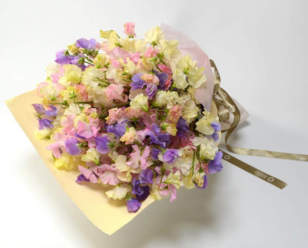 AOYAMA_HANAMOのインスタグラム：「春の花、スイートピーだけでお作りした花束。明るいパステルカラーの花色の可愛らしい見た目です。  1月13日(月・祝) 成人の日に、新成人の方へのお祝いにいかがでしょう。 スイートピーの花言葉は「門出」。贈り物にぴったりです。 成人の日当日のお届けは、本日1/10までのご注文でご対応いたします。お電話、またはオンラインショップでご注文いただけます。 - - - #aoyamahanamo #flowers #flowershop #florist #instaflower #flowergram #flowerstagram #flowerlovers #花 #花屋 #フラワー #ザ花部 #花のある暮らし #花のある生活 #花好きな人と繋がりたい #春の花 #スイートピー #sweetpea #花束 #bouquet #フラワーギフト #flowergift #成人の日 #成人の日ギフト」