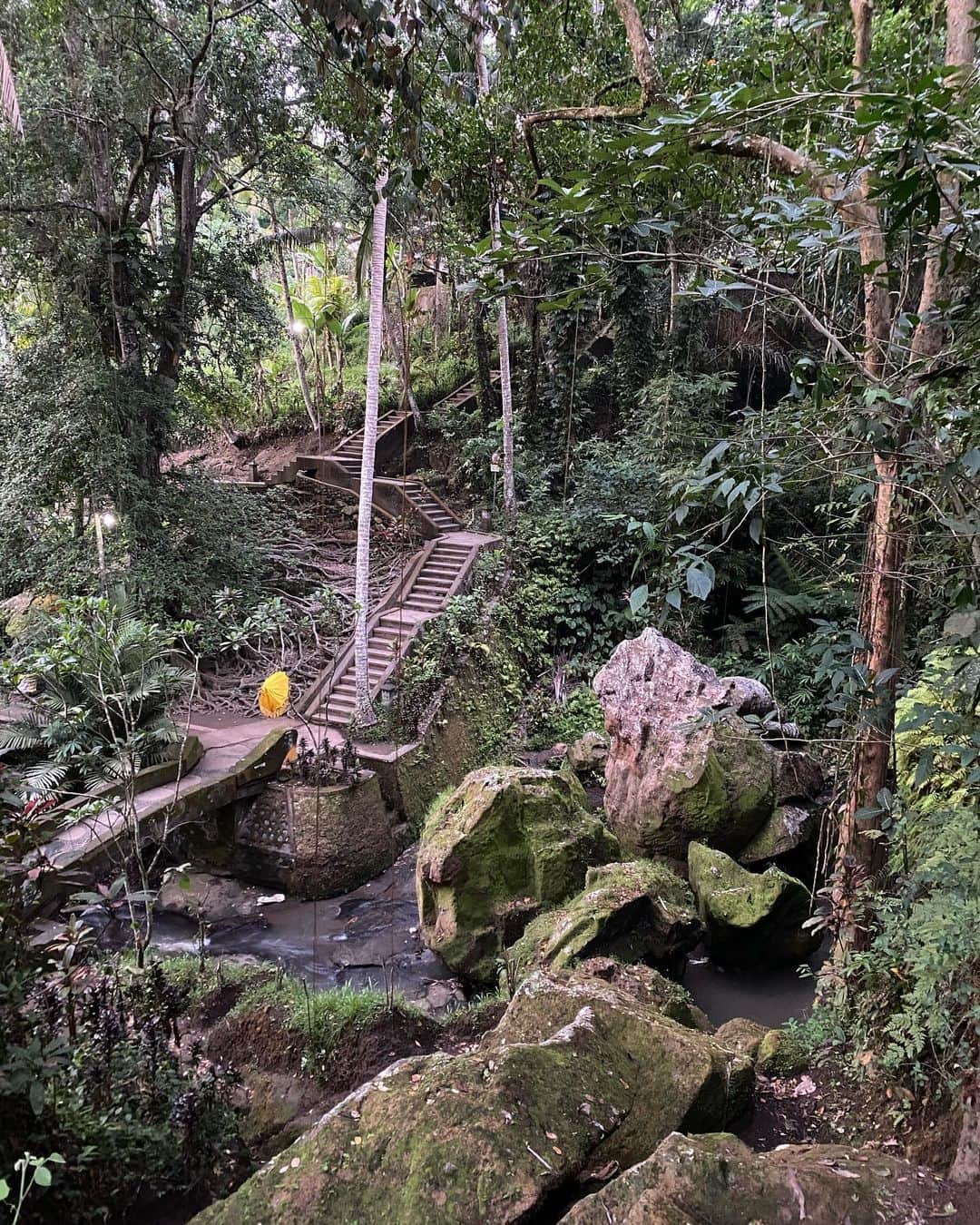 水原希子 さんのインスタグラム写真 - (水原希子 Instagram)「Goa Gajah 🐘🙏🏻💞💫🌿 迫力満点のゴアガジャ遺跡！ ここはバリヒンドゥーと仏教が混在している寺院で 庭園も美しくて、とても穏やかな気持ちになりました🧚🏼🌿 大樹の根っこが力強い🌳」1月10日 14時56分 - i_am_kiko