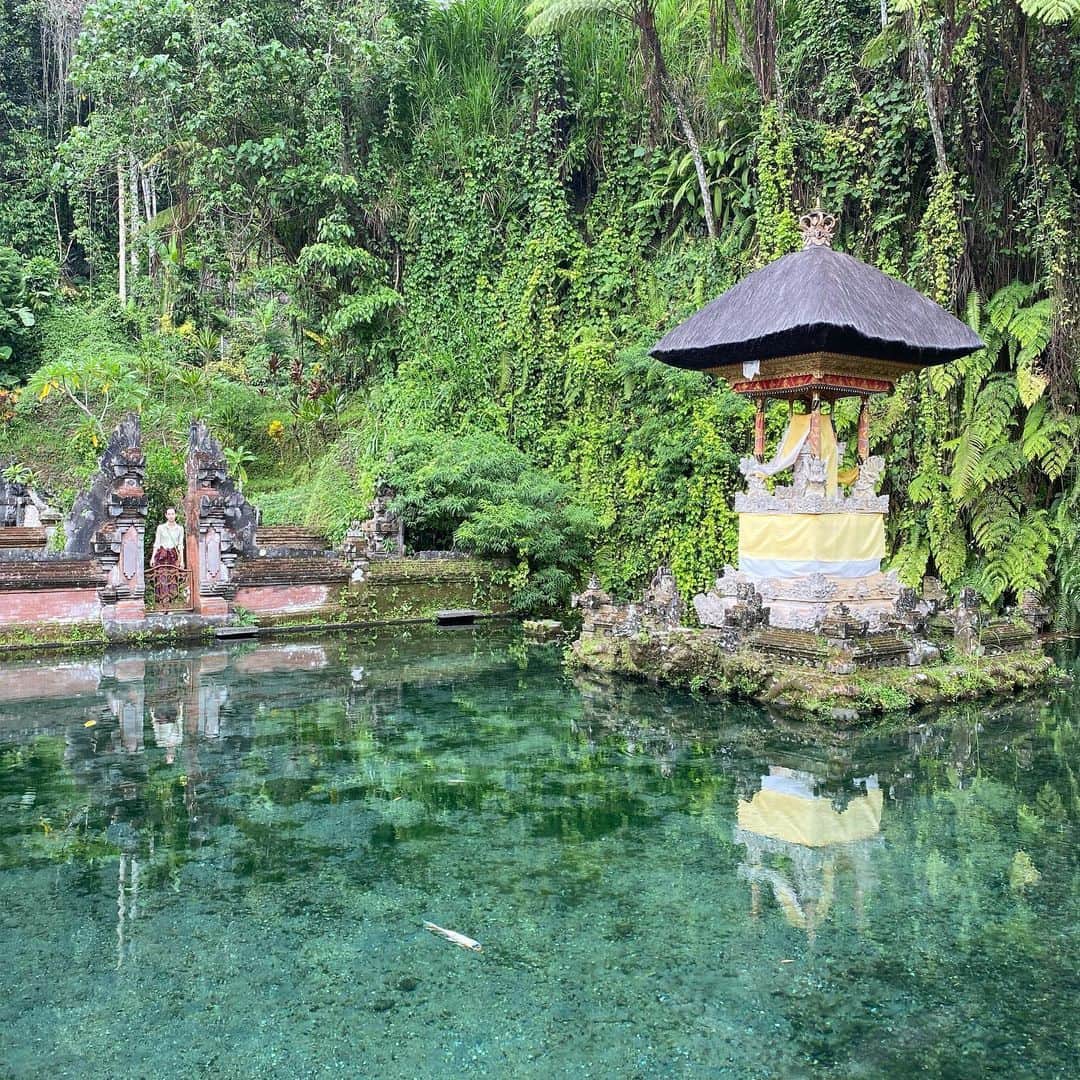 水原希子 さんのインスタグラム写真 - (水原希子 Instagram)「I went to so many beautiful places in Ubud Bali🍃💫💞💦」1月10日 15時32分 - i_am_kiko