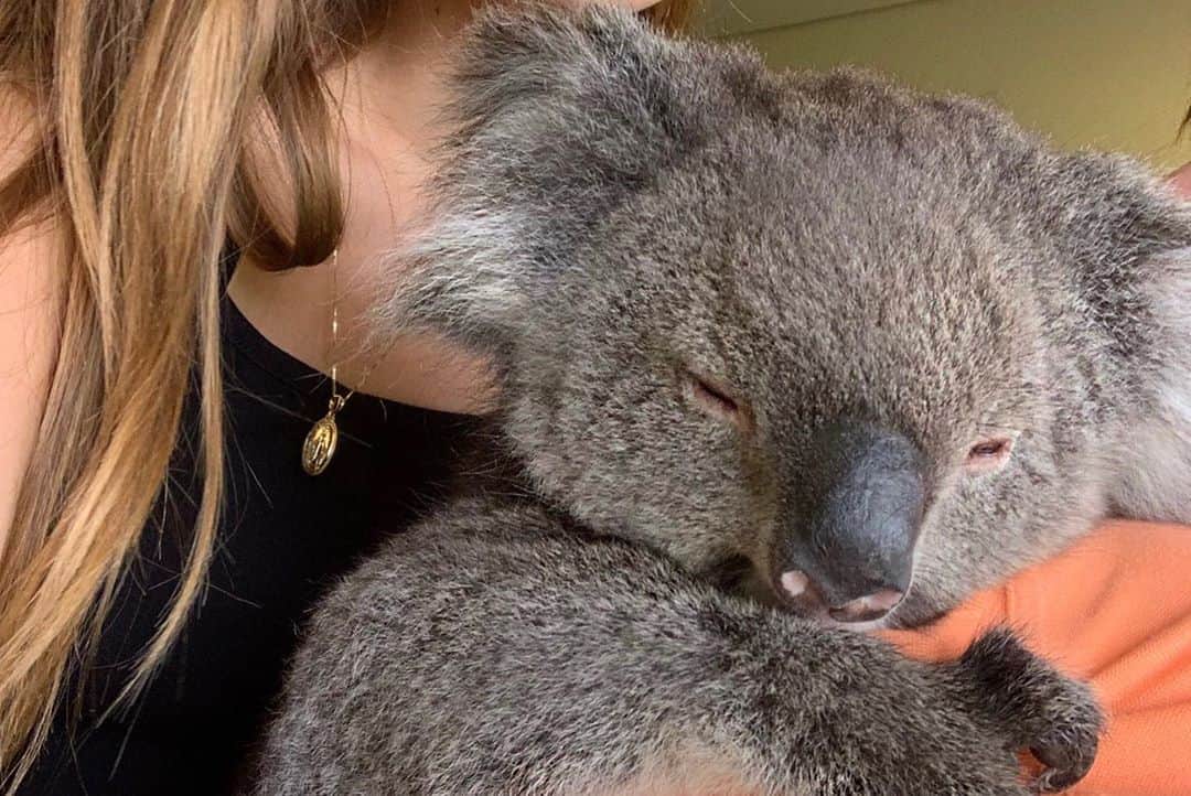 デビー・ライアンのインスタグラム：「please please take two minutes to reach out to our neighbors in Australia. I put a link in my bio to a list of ways we can help —  supporting the volunteer firefighters, donating funds and supplies, wildlife rescue, even temporary housing for those displaced by the fires. here are some of my favourite memories and people from there」