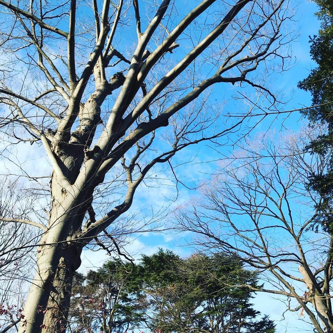 光野桃さんのインスタグラム写真 - (光野桃Instagram)「すこうしずつ、陽が長くなってきました。」1月10日 16時50分 - mitsuno.momo