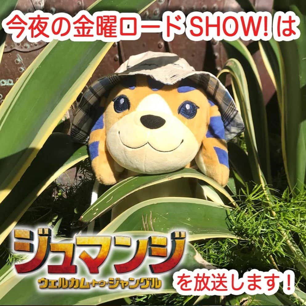 日本テレビ「金曜ロードSHOW!」のインスタグラム