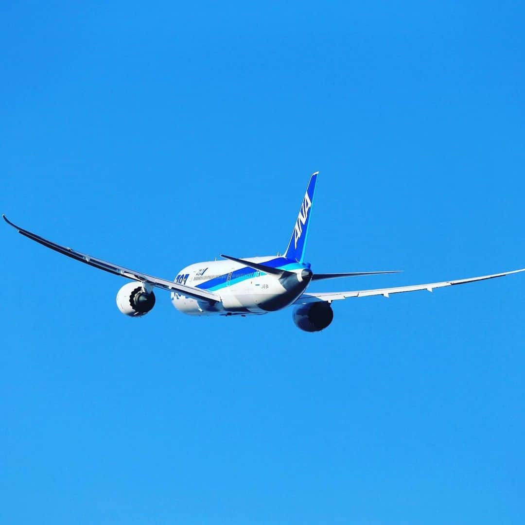 ANAさんのインスタグラム写真 - (ANAInstagram)「たくさんの思い出をありがとう✨🛫﻿ ﻿ #787ロゴ機 #1月10日 #旅立ち #8年間 #ありがとう #国内線 #ja818a #通常塗装 #リペイント #トリトンブルー #思い出 #大空へ #ソラマニ_ヒコーキ #飛行機 #飛行機好き #飛行機好きな人と繋がりたい #787dreamliner #ana787 #repaint #boeing #blue #sky #airplane #ana_jp﻿ ﻿ ANAの飛行機は「#ソラマニ_ヒコーキ」をつけて投稿してね✈️インスタやANAの各メディアでご紹介していきます🌟」1月10日 17時27分 - ana.japan