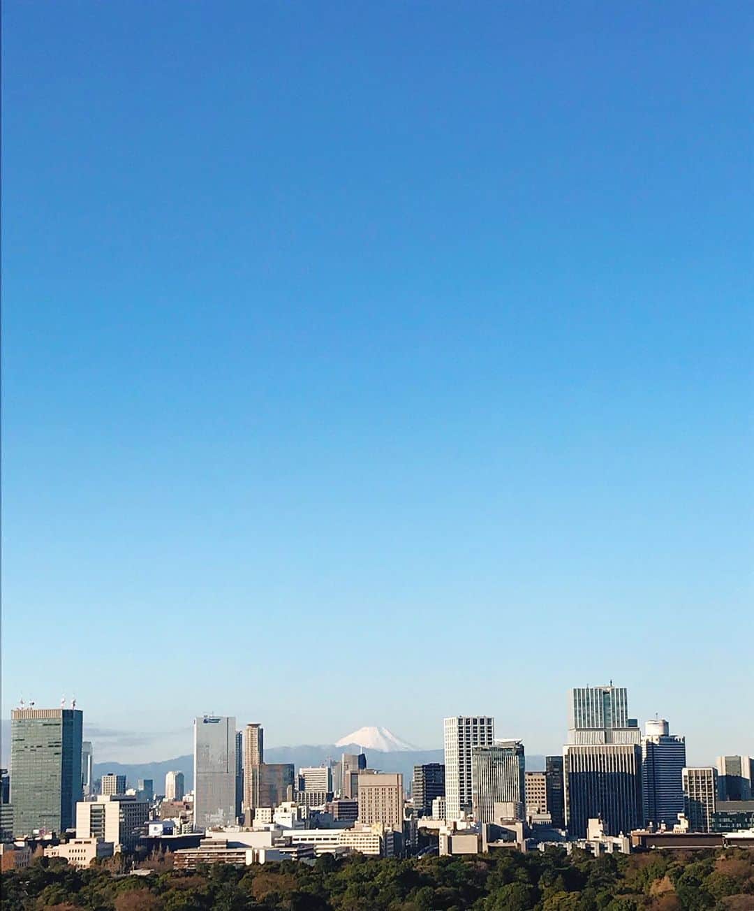 Palace Hotel Tokyo / パレスホテル東京さんのインスタグラム写真 - (Palace Hotel Tokyo / パレスホテル東京Instagram)「明日からの三連休、晴れの日は少し早めに起きて富士山を。 Early bird catches a view of Mt. Fuji. Why not set the alarm a bit early tomorrow?  #早起き #富士山 #青空 #東京の街 #東京の空 #東京の自然 #自然との調和 #丸の内 #パレスホテル東京 #earlybirdcatchestheworm #morningview #mtfuji #mountfuji #bluesky #natureinthecity #clearday #hotelview #uncommontravel #lhwtraveler #Marunouchi #PalaceHotelTokyo」1月10日 17時35分 - palacehoteltokyo