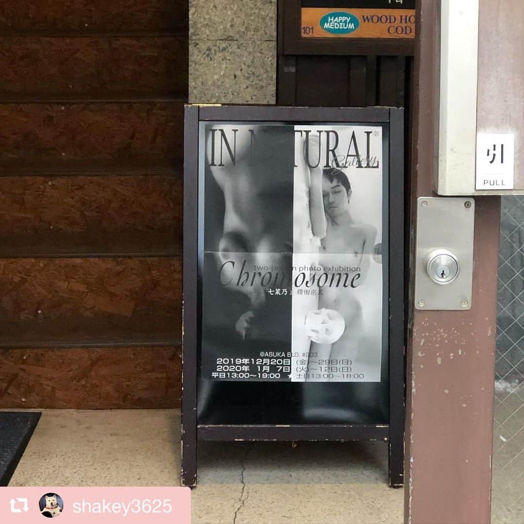 櫻田宗久のインスタグラム：「#repost @shakey3625 via @PhotoAroundApp  七菜乃×櫻田宗久 「Chromosome」 大阪市中央区本町4-7-7飛鳥ビル203 IN NATURAL gallery 2019/12/20〜29 2020/1/7〜12 平日12時〜19時 #七菜乃 #櫻田宗久」