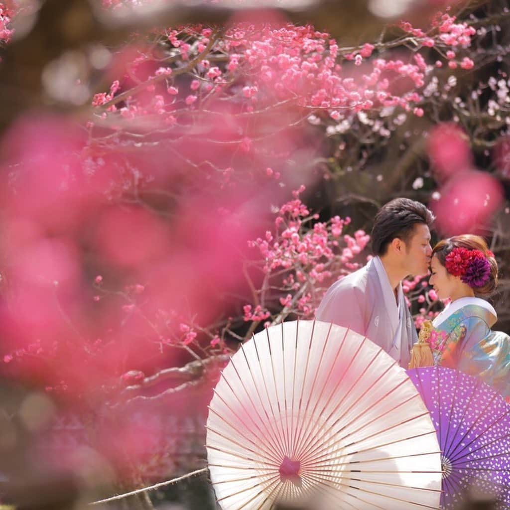 デコルテウエディングフォトグループさんのインスタグラム写真 - (デコルテウエディングフォトグループInstagram)「2月は梅ロケがオススメ！花粉症対策や縁起のよさなど、﻿梅ロケ撮影の魅力を3ポイント紹介します🌸﻿ ﻿ 春の撮影といえば桜のイメージが強いですが、﻿「梅」も春を代表する花のひとつ。﻿梅の花との撮影には、3つの大きなメリットがあります📷﻿ ﻿ 【梅ロケの3つのメリット】﻿ ①春挙式のウェルカムボードに間に合う！﻿ 桜との前撮りだと、3月〜4月挙式のウェルカムボードに間に合わない...💦﻿でも、2月から咲き始める梅との撮影なら、春らしいウェルカムボード﻿の作成が叶います！﻿定番の桜とはひと味違うので、他の花嫁さんとかぶらないのも嬉しいポイントですね🎉﻿ ﻿ ②花粉症の時期を避けて撮影できる！﻿ 3月頃からピークを迎える花粉。大切な結婚写真、ベストな状態で撮影したいですよね。﻿花粉症の新郎新婦さんにも安心なのが、梅ロケの魅力のひとつ🌸﻿ 開花時期が2月と早く、花粉症のピークを避けながら安心して撮影できます◎﻿ ﻿ ③梅は縁起がいい！﻿ 梅はお正月飾りにも使われるなど、江戸時代から縁起がいいとされてきたお花。﻿結婚写真の撮影というシーンにはピッタリです！﻿また梅には「忠実」という花言葉もあり、まっすぐに愛し合う新郎新婦さんのようで素敵です✨﻿ ﻿ ぜひ梅の花ロケーションで結婚記念の写真を撮影してくださいね！﻿ ﻿ ﻿ ロケーション撮影などのご質問は﻿ プロフィールのリンクからどうぞ📩﻿ @decollte_weddingphoto﻿ ご連絡、ご予約、お待ちしております！﻿ ﻿ Photographer　@s.mochizuki_studio8﻿ ﻿ #梅　#梅の花　#和装前撮り  #2020春婚 #ウェディングフォト #結婚写真 #フォトウェディング #ロケーション撮影 #前撮り #後撮り #花嫁準備 #ウェディング前撮り #卒花嫁 #結婚準備 #花嫁 #d_weddingphoto #プレ花嫁 #春婚 #縁起物 #記念写真 #  #日本の春  #絶景　#カップル写真 #ロケーション前撮り #令和婚 #前撮り和装  #色打掛 #全国のプレ花嫁さんと繋がりたい #日本中のプレ花嫁さんと繋がりたい」1月10日 18時25分 - decollte_weddingphoto
