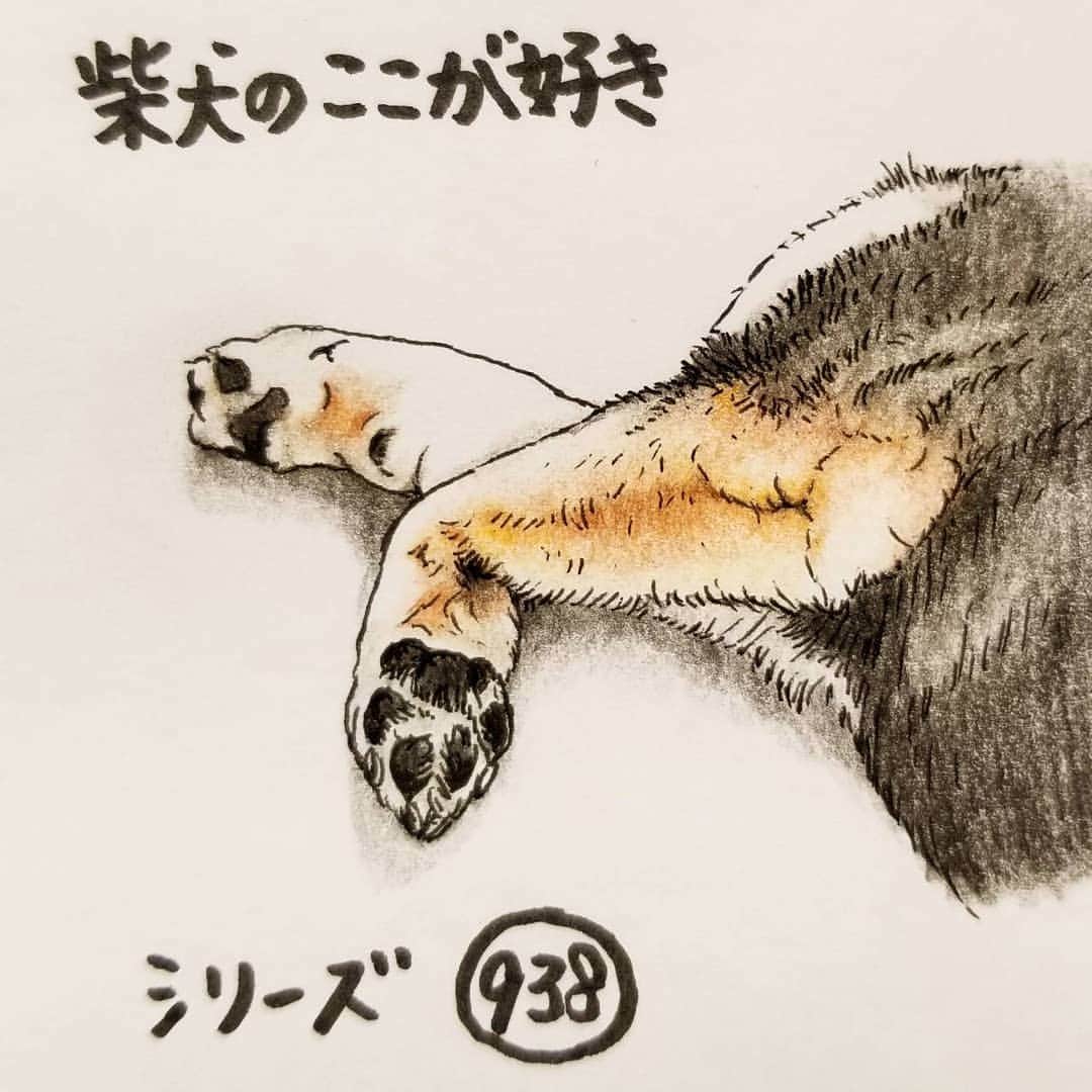 ハナとソラのインスタグラム