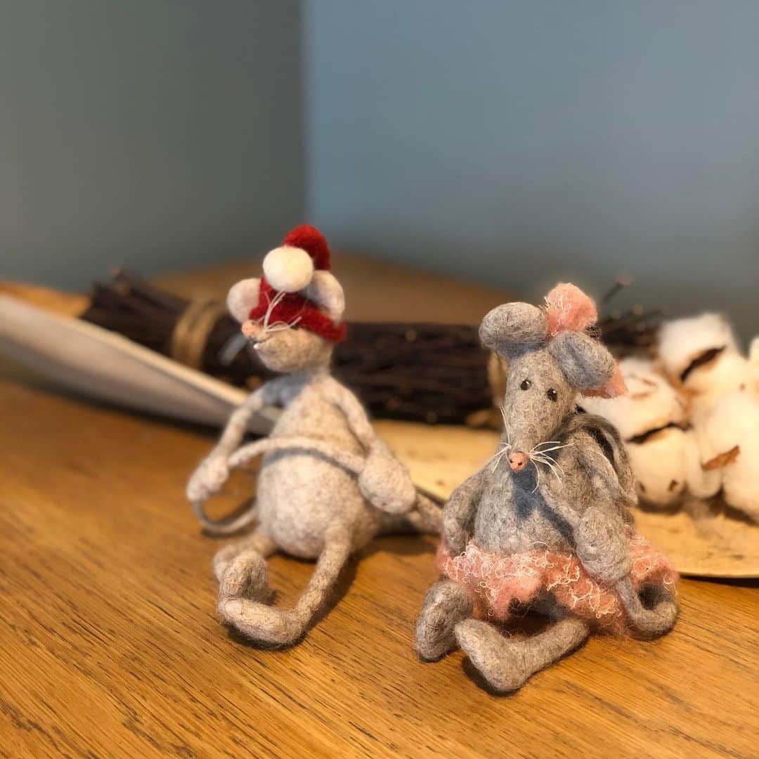 ecomfort（エコンフォート）さんのインスタグラム写真 - (ecomfort（エコンフォート）Instagram)「今年は子年ですね🐀 エコンフォートハウスの入り口に5匹のネズミがやってきました！  売り物ではないのですが 以前フィンランドのフェルト作家さんに作って頂いたものになります！ こちらの作家さんが手を痛めているので休業中だそうです…  かわいいねずみ達を見に、エコンフォートハウスにいらっしゃってください あたたかいお茶を飲みながら、ゆっくりお買い物はいかがでしょうか？  #ecomforthouse🏠  宮下織絵  #世界一のサスティナブルショップ #ecomfort　#エコンフォート #ecomfortHouse　#サスティナブル　#エコ　#ナチュラル志向　#丁寧な暮らし　#北欧　#表参道　#今日の買い物が未来を変える　#神宮前5丁目　#神五通り」1月10日 18時31分 - ecomfort_eoct