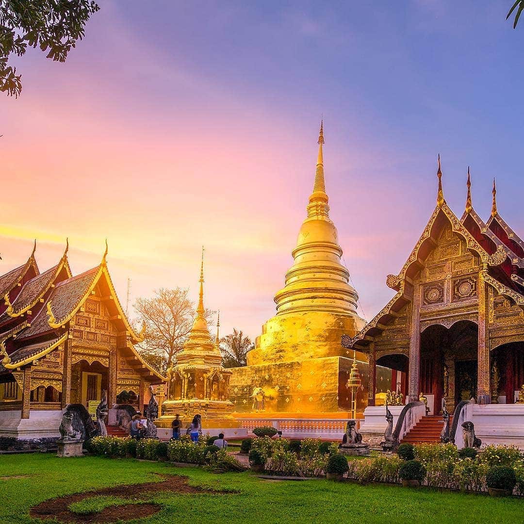 タイ国政府観光庁さんのインスタグラム写真 - (タイ国政府観光庁Instagram)「⠀ ＼✨今週も1週間お疲れ様でした✨／⠀ ⠀ タイ北部の古都、チェンマイから町のシンボルでもある寺院「ワット・プラシン」の写真をお届け📸⠀ ⠀ 「ワット・プラシン」は、チェンマイ市内で最も大きい寺院で、黄金の仏塔や、本堂に描かれた色彩豊かな壁画が見どころです‼️⠀ ⠀ 皆さま、よい週末を☺️⠀ ⠀ #お疲れ様でした #タイ #チェンマイ #ワットプラシン #タイ寺院 #お寺巡り #こんなタイ知らなかった #はじめてのタイ #歴女 #タイ旅行 #チェンマイ旅行 #写真好きな人と繋がりたい #旅好きな人と繋がりたい #旅行好きな人と繋がりたい #海外旅行 #旅行 #東南アジア #thailand #chiangmai #watphrasingh #temple #amazingthailand #thailandtravel #thailandtrip #thai #thaistagram #lovethailand #genic_thailand」1月10日 19時51分 - amazingthailandjp