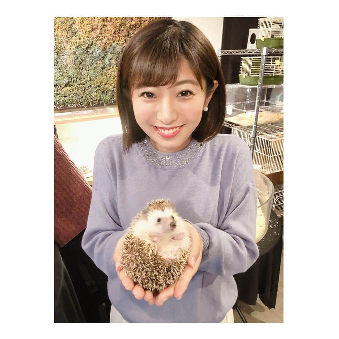 白戸ゆめののグルメインスタ