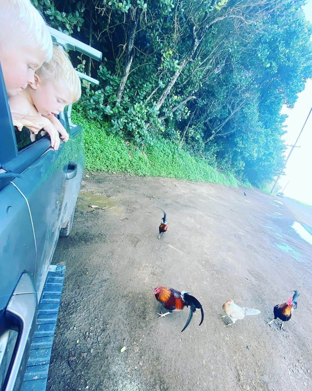 Bethany Hamiltonのインスタグラム：「Adventures with the littles!We have lots of fun!!! My mom was so adventurous and spontaneous growing up, I hope to do the same with my kids!!! I believe it is the quality time and the little things that matter!  #momlife #adventure #chickens」