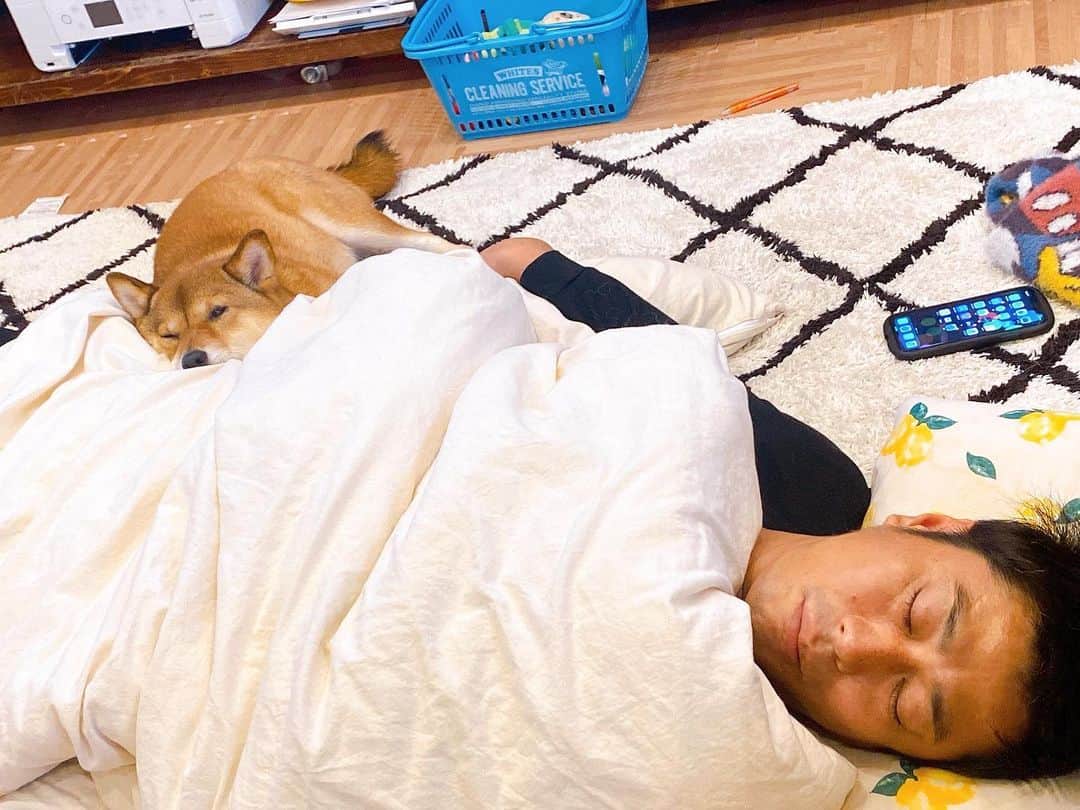 尾形貴弘さんのインスタグラム写真 - (尾形貴弘Instagram)「せっかくミクと 昼寝してたのに 寝かせてくれない さくちゃん。。。 果てしないパワー！！ 負けられないな。。。 YouTubeみてね！！！ #柴犬大好き #柴犬マニア  #愛犬  #赤柴 #しばけん  #しばちゃん  #しばいぬ大好き  #shibainu  #shiba_snap  #犬ばか部  #いぬばか部 #ミク #三九 #39 #パンサー尾形 #赤ちゃん #赤ちゃんのいる暮らし #赤ちゃんと犬 #1歳10カ月 #ミクサクタカヒロ #サンキュー #ママリ #ベビフル」1月10日 22時35分 - miku3_miku_9