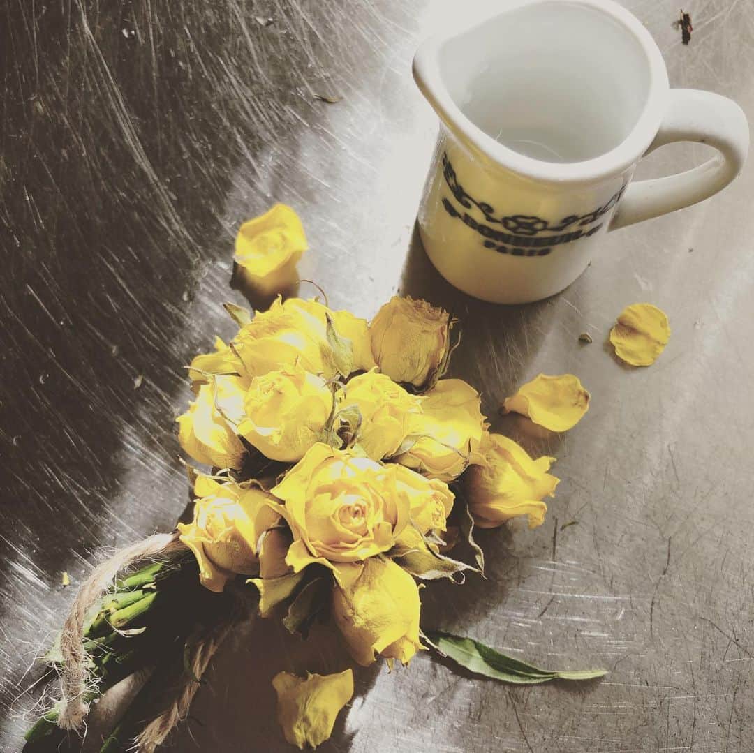 藤田朋子さんのインスタグラム写真 - (藤田朋子Instagram)「帰宅して ミニバラはドライフラワー🌹になっていた事実😭  #花 #切り花 #花瓶 #アンティークベース #ティンカン #窓辺 #rose #flowers #yellow #saltandpepper #antique #curtain」1月10日 22時55分 - chiendormant