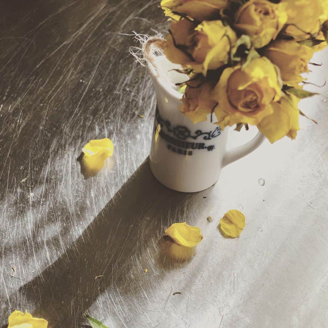 藤田朋子さんのインスタグラム写真 - (藤田朋子Instagram)「帰宅して ミニバラはドライフラワー🌹になっていた事実😭  #花 #切り花 #花瓶 #アンティークベース #ティンカン #窓辺 #rose #flowers #yellow #saltandpepper #antique #curtain」1月10日 22時55分 - chiendormant