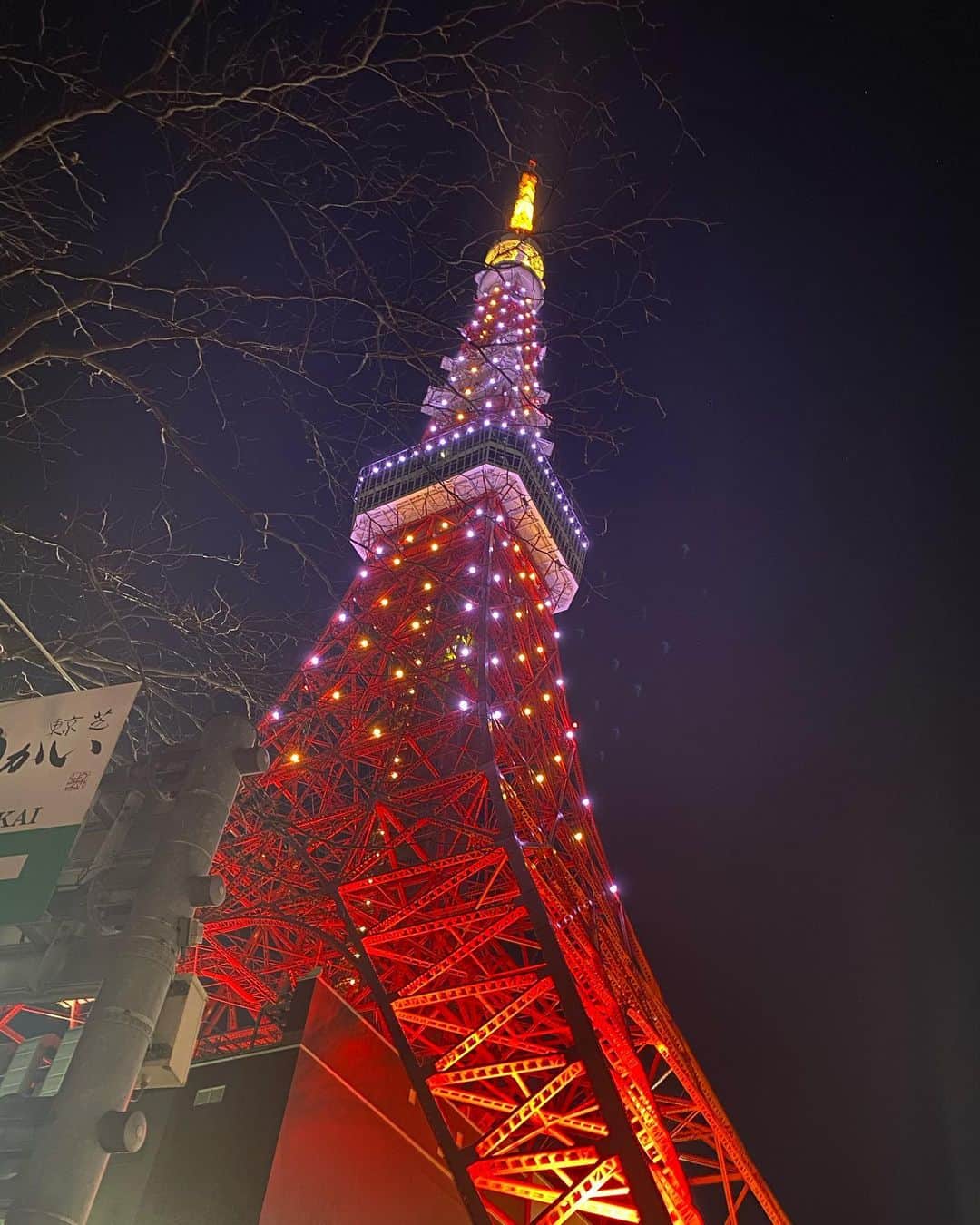 若林理紗さんのインスタグラム写真 - (若林理紗Instagram)「元日の東京タワー🗼﻿ ﻿ 今日、なぜか東京タワーの投稿をしている人が﻿ 多い気がして、ふと思い出しました。﻿ ﻿ 写真2枚目〜は、﻿ 12月23日に開業61年目を迎えた東京タワーで﻿ 開催されたイベントに父と参加させていただいた﻿ 時のものです👨‍👧﻿ ﻿ 東京タワーが皇族方と紡いだ歴史の展示も。﻿ 今上天皇が幼少期に使われていた﻿ ファミリアの籠バッグも展示されていました✨﻿ ﻿ 眺めていると﻿ なぜか心落ち着く東京タワー。﻿ ﻿ なぜなのでしょう。﻿ ﻿ ﻿ #東京タワー  #tokyotower  #61年目 もよろしくお願いします #父娘デート」1月10日 22時55分 - lisawakabayashi