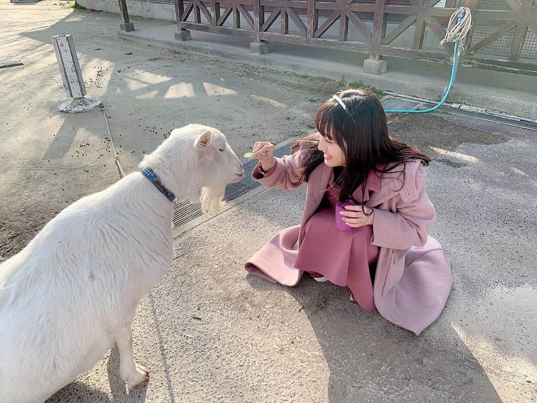 田島芽瑠さんのインスタグラム写真 - (田島芽瑠Instagram)「山羊座だからヤギに餌やり😂  久々にもーもーランドに行ってきた🐐」1月10日 22時56分 - meru_chan_official