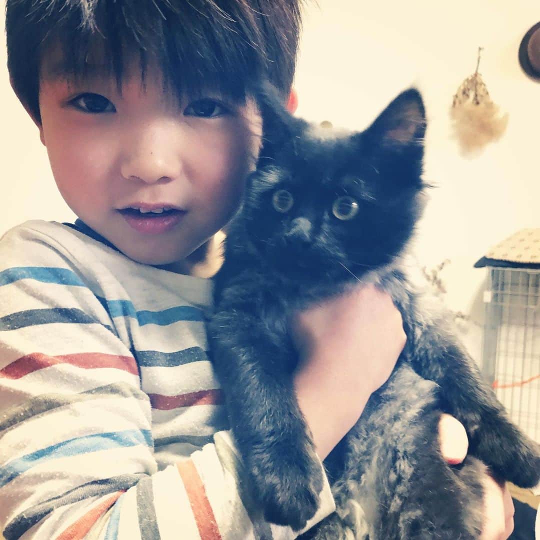 makicocomoのインスタグラム：「遅ればせながら、 あけましておめでとうございます。 今年もぼちぼちとよろしくお願いします。  実家の新入り、ういろう。 小さくてフワフワでやんちゃでかわいすぎる。 おちびちゃんにみんなメロメロでした♡」