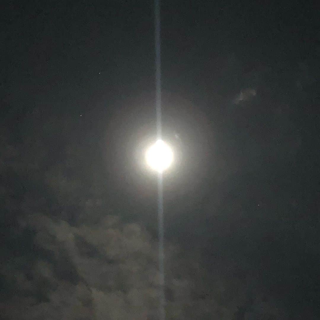 のインスタグラム：「だだいま東京😊 明日は満月🌕 I am back to Tokyo🍀 Almost full moon🌕 #fullmoon #tokyo #backtohome #東京 #ただいま #南果歩 #japaneseactress  #kahominami」