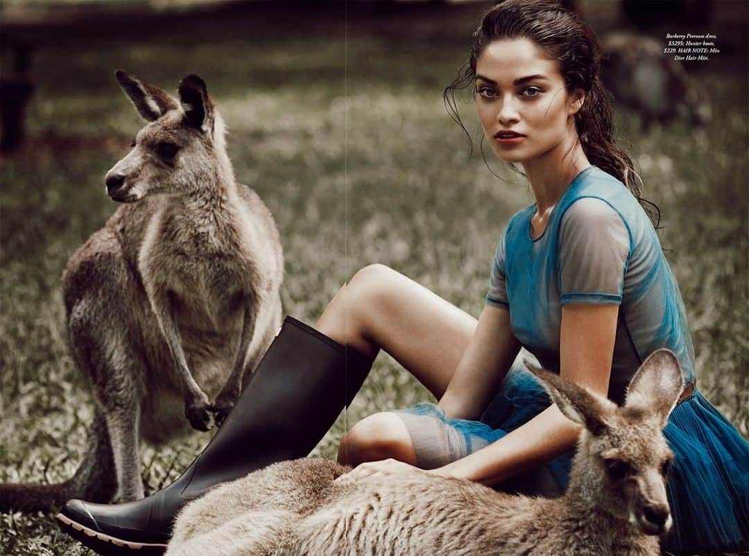 シャニーナ・シャイクのインスタグラム：「ONE BILLION  wildlife animals have died in the Australian Bushfires. It’s soul- destroying!!! These beautiful animals all need our love and care. The next step is to ask the Australian government....how do we make changes to aid the future for Australian families and wildlife? This CAN and MOST likely can happen again!! Climate change is here and it has shown its destruction on the Australian land. If you would like to help please visit @wireswildliferescue ❤️」