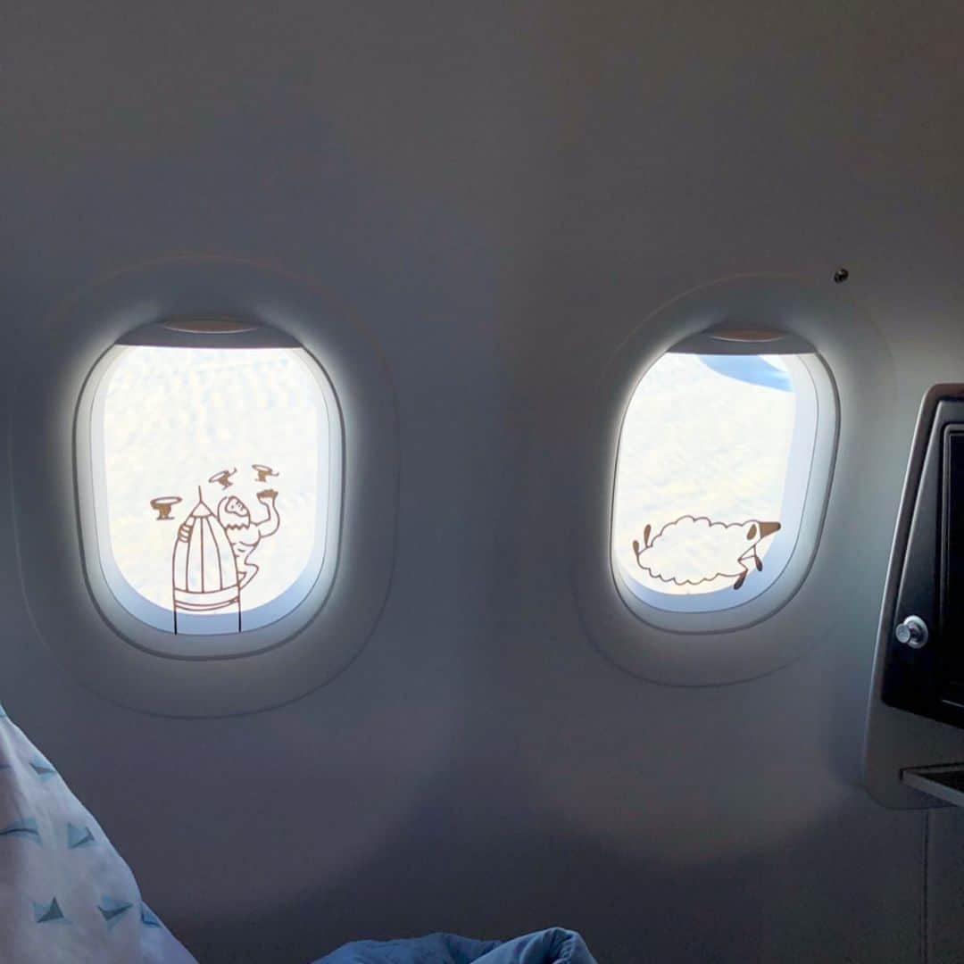 岡田育さんのインスタグラム写真 - (岡田育Instagram)「2019/12 : La Compagnie, all-business-class airline. 🗽✈️🐉🗼 @lacompagnie_boutiqueairline #lacompagnie . . ぼうや〜よい子だねんねしな〜♪ というわけで、ここからようやくパリ日記です。La CompagnieはNY-パリ間を結ぶ「全席ビジネスクラス」の国際便。もっと成金めいたの想像してたら、窓カワイイ、制服カワイイ、機内食おいしい、おやつはヤンクヴルー、寝心地最高、「飛ぶブティックホテル」という感じで、すっかり気に入りました。早割だと相当お手頃。女子旅や子連れ客などもいる。 #ラカンパニー　#parisfrance #竜の子太郎」1月11日 0時17分 - okadaic