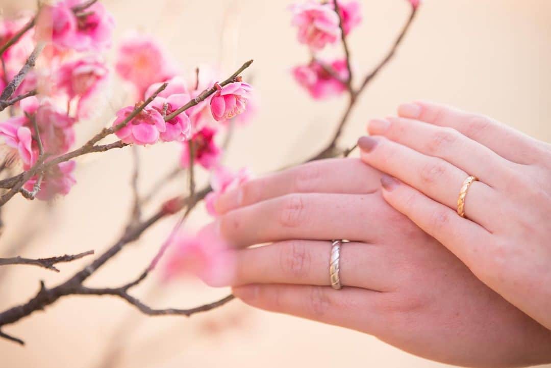 スタジオエイト 名古屋さんのインスタグラム写真 - (スタジオエイト 名古屋Instagram)「【桜の前に梅🌸＋竹林で最高に通な和装姿を残しませんか😍👘🇯🇵】 . そろそろ、桜をご希望のお客様が増えてくる季節🌸☺️ でもちょっと待ってください！桜よりも通好みで鮮やかな撮影ができるのが、2月-3月の梅なんです✨ 梅は、量が少なくても色が濃く、しっかり主張してくれるお花。 それに、とっても形が可愛いので三枚目のお写真のように、お花と一緒に手元を撮っても💕 更に、このロケ地ならなんと竹林🎍もあり、まるで京都みたいな風情があります🌟 . ぜひオシャレな撮影お求めの方はご検討ください😍 . キャンペーンも大好評実施中です🌟 詳しくはHPご確認かお電話でお問い合わせください♫ . . 📸 photographer @s.mochizuki_studio8 . 💄hair＆makeup @misa.hairmake . . . 以下のアカウントでも情報更新中♫ ご指名承っております🌟 . 📸photographer account @s.mochizuki_studio8  @m.niwa_studio8  @t.oguri_studio8  @studio8_shunsuke_irie @studio8_mayu_egawa @m_omura_studio8 . . 💄hair＆makeup account @sayaka.ito_studio8 @erina.fujimaki_studio8 @shiho.m_studio8  @shimizu.hm_studio8 @misa.hairmake @haru_hairmake_studio8 . . #d_weddingphoto #プレ花嫁 #名古屋プレ花嫁  #ウエディングレポ #前撮りレポ #DWPG #ウェディングフォト  #フォトウエディング #結婚式準備 #結婚式 #前撮り #後撮り #ブライダルフォト #ウェディング  #ウエディングニュース #weddingphoto  #日本中のプレ花嫁さんと繋がりたい  #プレ花嫁さんと繋がりたい  #おしゃれさんと繋がりたい  #2020春婚 #2020夏婚 #2019冬婚 #marry花嫁 #marryxoxo #チェリフォト #ウェルカムボード #ウェルカムボード手作り  #白無垢 #梅」1月11日 1時02分 - studio8_nagoya.sakae