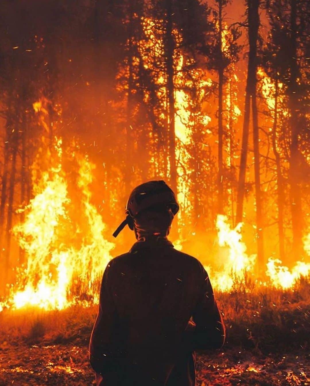 Katya Elise Henryさんのインスタグラム写真 - (Katya Elise HenryInstagram)「As you’ve all heard, Australia needs all the help we can give. My prayers go out to everyone in Australia. The fires burning have caused mass devastation, with many homes and lives lost. 💔Breaks my heart! We truly need to start paying attention to our carbon footprint. I need to start making some changes as well. After all, we don’t have a Planet B. With that being said... Today - 100% of all profits made for @blessedprotein and @ehplabs will be donated to the Australian bushfire relief. 🙏🏽 - - For all other donations you can head to @nswrfs , @redcrossau , @salvosau , or @vinniesshops ❤️」1月11日 1時11分 - katyaelisehenry
