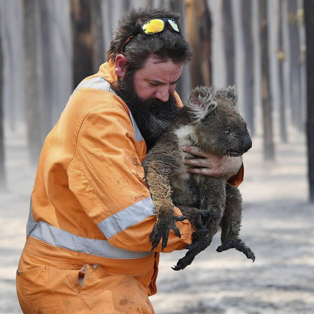 ケリー・スレーターさんのインスタグラム写真 - (ケリー・スレーターInstagram)「@outerknown sale on today with 100% of profits going towards Australian first responders and wildlife efforts via @nswrfs and @wireswildliferescue. Our hearts go out to the ongoing crisis our friends are facing Down Under. #PrayForRain」1月11日 7時35分 - kellyslater