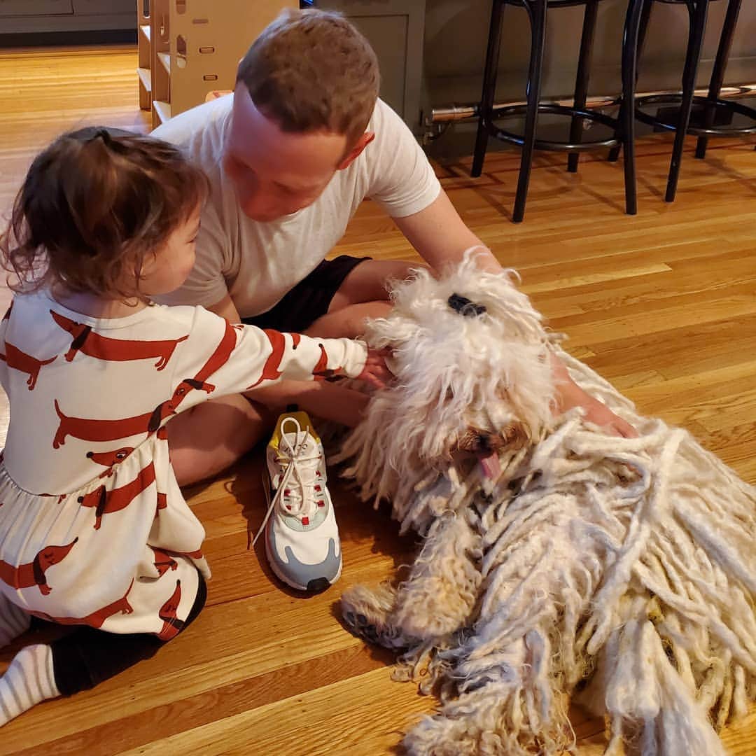 マーク・ザッカーバーグのインスタグラム：「Happy 9th birthday Beast, you crazy dog! 🎉🍖🎂」