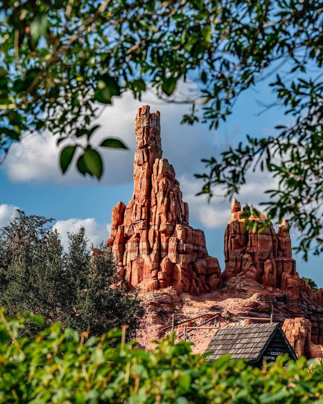 Walt Disney Worldのインスタグラム：「Speeding into the weekend on the wildest ride in the wilderness! ⛰🌱🎢 #WaltDisneyWorld #MagicKingdom (📷: @soarnarounddisney)」