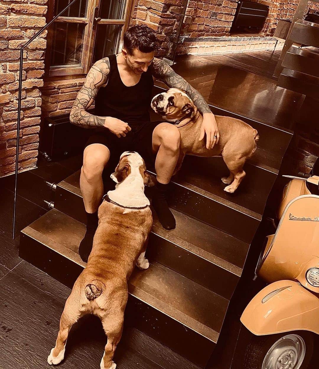 フェデリコ・ベルナルデスキのインスタグラム：「Spike&Wendy #TrueLove 🐶🐶❤」
