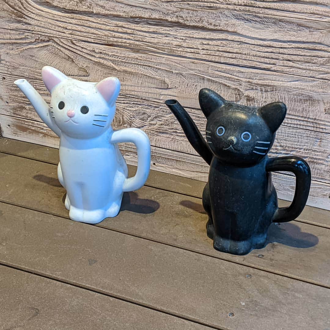 refeiaのインスタグラム