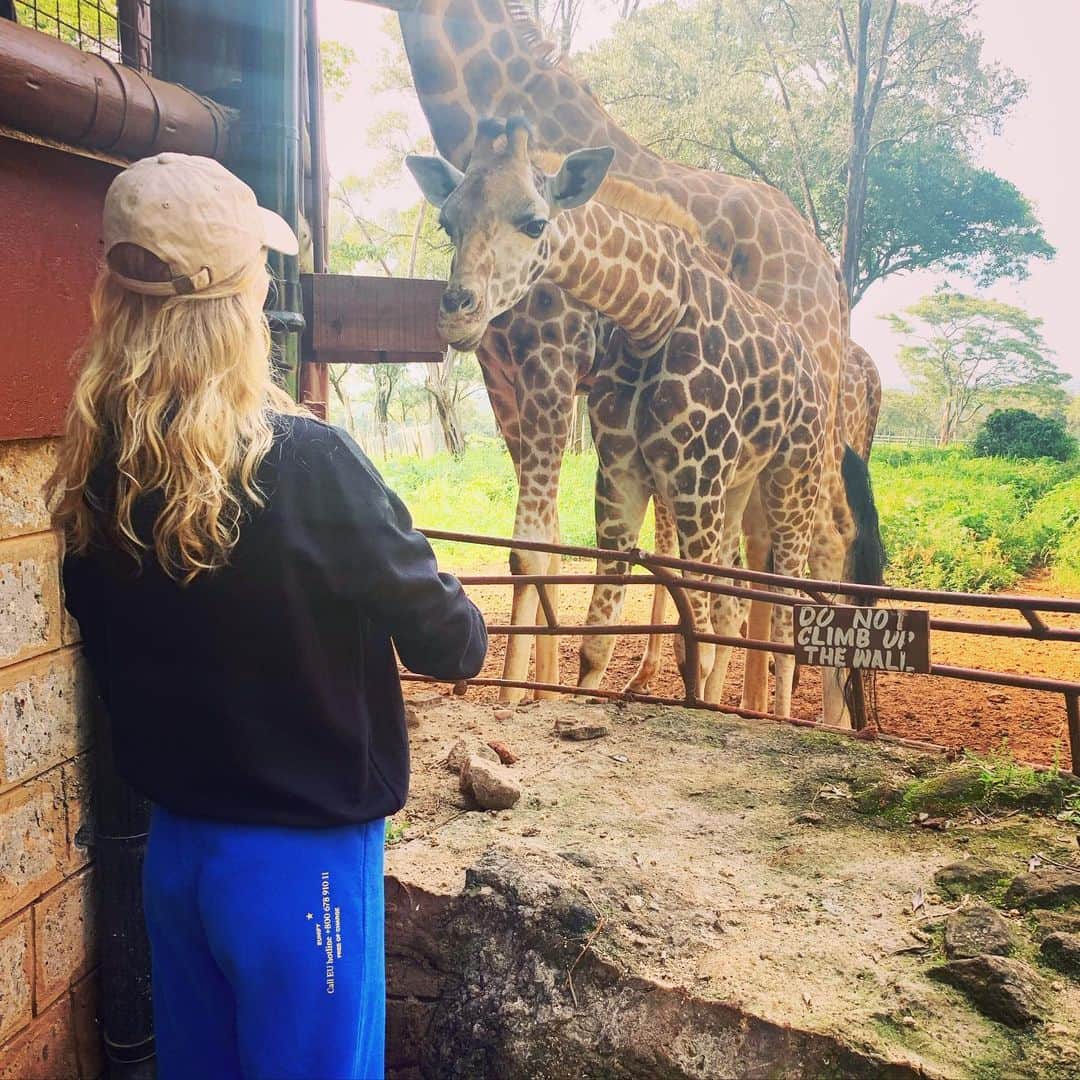トニ・ガーンさんのインスタグラム写真 - (トニ・ガーンInstagram)「Love at first sight with baby Wasiri🦒😍🙈 the giraffe center in Nairobi breads the very endangered Rothschild Giraffe and then brings them back into the wilderness when strong enough 🌍✨」1月11日 15時53分 - tonigarrn