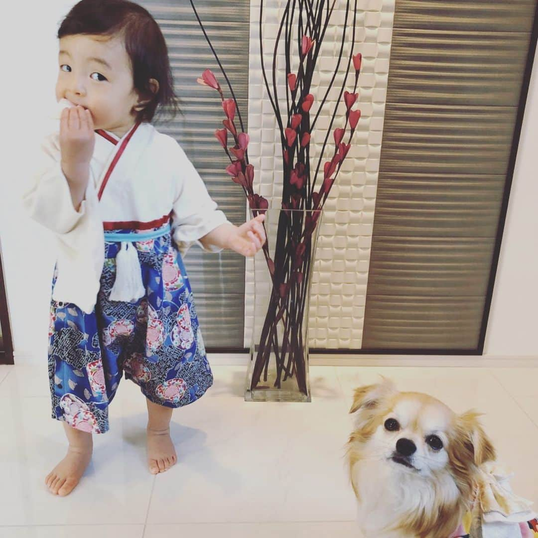 岡田優介のインスタグラム：「新年のごあいさつ👶🐶 #お揃いコーデ #なのだろうか #和服コーデ #和服犬 #おやつ争奪戦 #チワワ #チワワ部 #タレ耳チワワ #japanesestyle #1yearold」