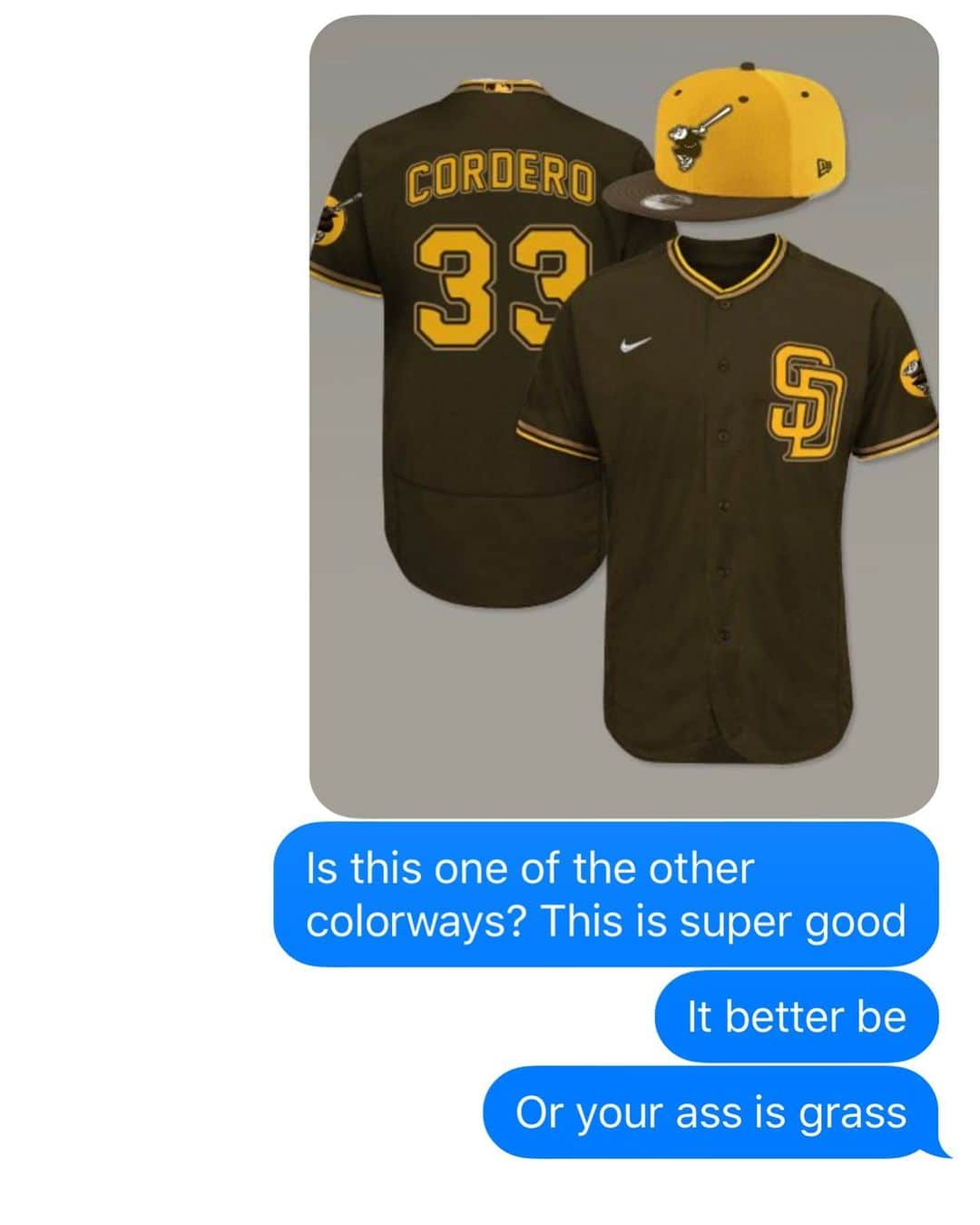 トム・デロングさんのインスタグラム写真 - (トム・デロングInstagram)「When you text one of the chief officers of the San Diego @padres and tell him how things are supposed to go....」1月11日 8時31分 - tomdelonge