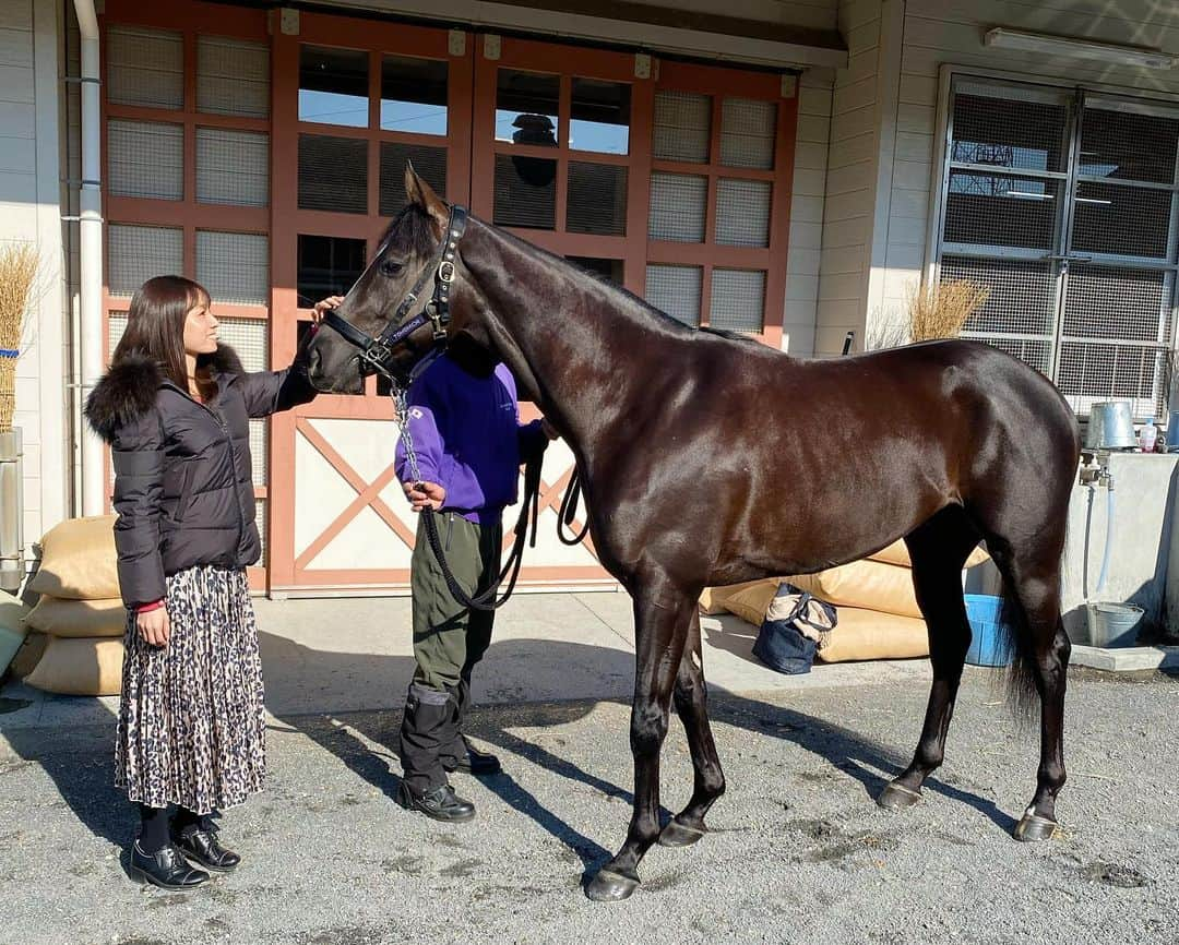 松中みなみさんのインスタグラム写真 - (松中みなみInstagram)「がんばれ!メラーキ🐴✨✨ ・ 今日、1/11🌸京都競馬場5Rで メラーキが2戦目走ります❣️🏇 ・ 馬主の大塚亮一オーナーから 命名権を頂き めちゃガチで考えて付けさせて頂いた名前🌸⇦馬名の理由などは5枚目のお手紙にしたためました☺️ ・ ・ 3歳とは思えないほど落ち着いてて（2/22で3歳♡） 顔もめちゃイケメンだし でもあどけなさも残ってて とにかくメラーキに母性をくすぐられっぱなし🐴💗 ・ ・ デビュー戦は1番人気になるも4着…！ 今度こそ、初勝利を飾って ウィナーズサークルで口取りだ🏆✨ ・ でもまずは怪我なく帰ってきてね🍀 ・ ・ では！ 京都競馬場に行ってきます！🚅 ・ ・ #競馬 #京都競馬場 #5R  #メラーキ #全身全霊 #ギリシャ語  #大塚亮一 さん#友道厩舎  #目指せクラシック  #競馬女子 #umajo #松中みなみ」1月11日 8時27分 - minami_matsunaka