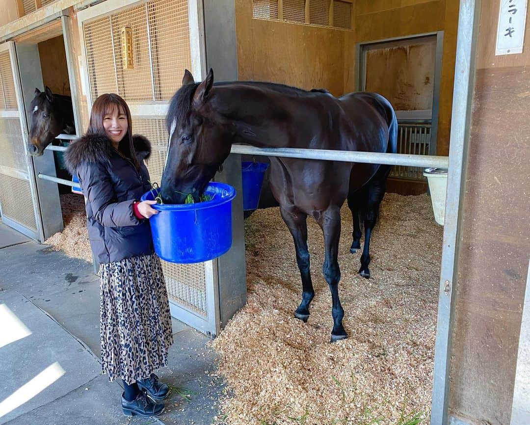 松中みなみさんのインスタグラム写真 - (松中みなみInstagram)「がんばれ!メラーキ🐴✨✨ ・ 今日、1/11🌸京都競馬場5Rで メラーキが2戦目走ります❣️🏇 ・ 馬主の大塚亮一オーナーから 命名権を頂き めちゃガチで考えて付けさせて頂いた名前🌸⇦馬名の理由などは5枚目のお手紙にしたためました☺️ ・ ・ 3歳とは思えないほど落ち着いてて（2/22で3歳♡） 顔もめちゃイケメンだし でもあどけなさも残ってて とにかくメラーキに母性をくすぐられっぱなし🐴💗 ・ ・ デビュー戦は1番人気になるも4着…！ 今度こそ、初勝利を飾って ウィナーズサークルで口取りだ🏆✨ ・ でもまずは怪我なく帰ってきてね🍀 ・ ・ では！ 京都競馬場に行ってきます！🚅 ・ ・ #競馬 #京都競馬場 #5R  #メラーキ #全身全霊 #ギリシャ語  #大塚亮一 さん#友道厩舎  #目指せクラシック  #競馬女子 #umajo #松中みなみ」1月11日 8時27分 - minami_matsunaka