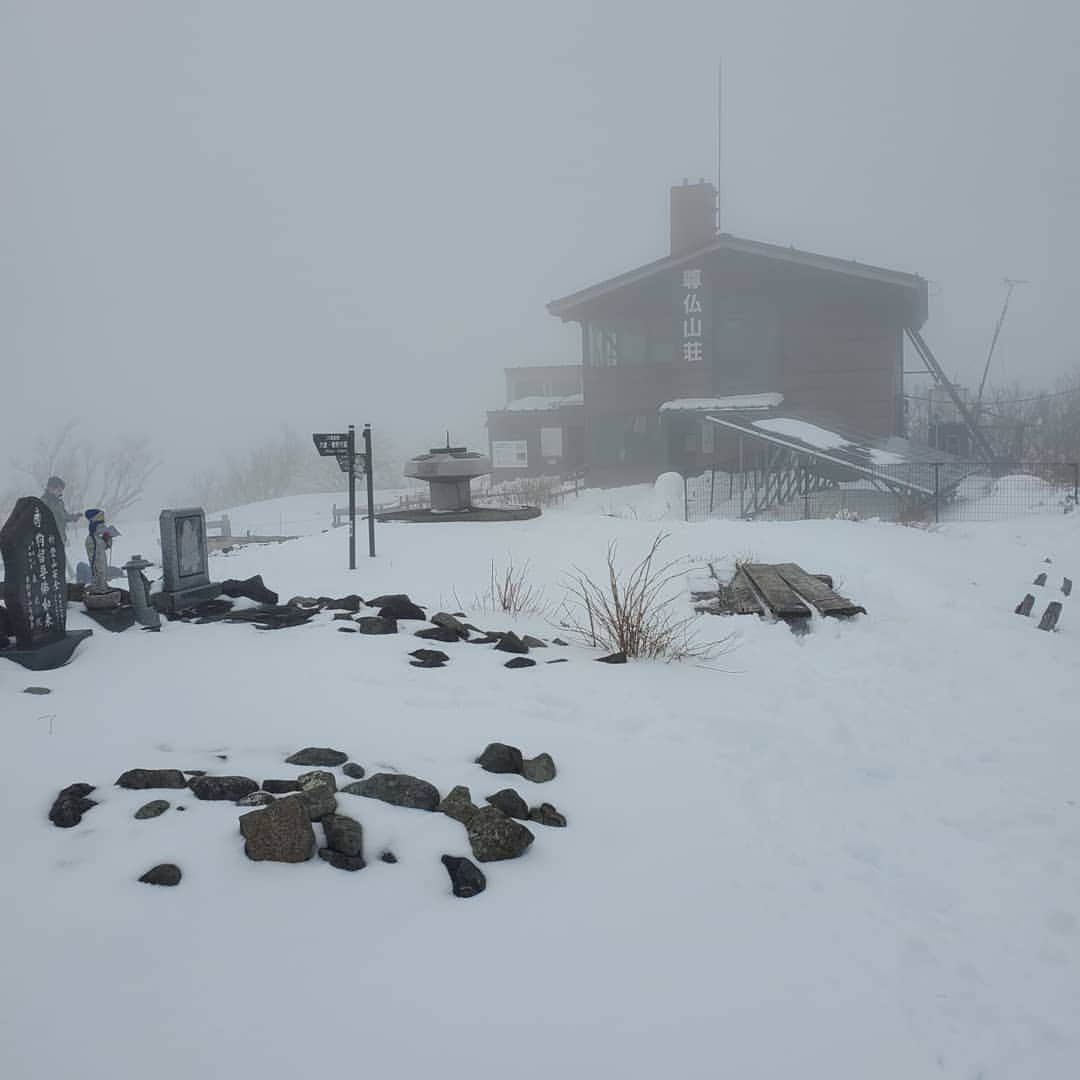 加藤ツバキさんのインスタグラム写真 - (加藤ツバキInstagram)「年末雪の塔ノ岳✨ 初本格登山がまさかの積雪😂 到着時はあいにくの曇りだったものの、翌朝晴れてくれたので雪も日の出も富士山も全部堪能できました♪ #丹沢  #塔ノ岳  #登山  #なんだかんだツイてる #2019年お疲れさまでした #今更ですがインスタはじめました  #2020年もよろしくお願いします」1月11日 9時50分 - katotsuba_desu