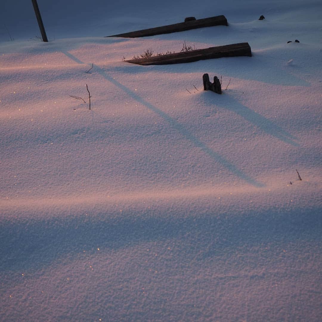 加藤ツバキさんのインスタグラム写真 - (加藤ツバキInstagram)「年末雪の塔ノ岳✨ 初本格登山がまさかの積雪😂 到着時はあいにくの曇りだったものの、翌朝晴れてくれたので雪も日の出も富士山も全部堪能できました♪ #丹沢  #塔ノ岳  #登山  #なんだかんだツイてる #2019年お疲れさまでした #今更ですがインスタはじめました  #2020年もよろしくお願いします」1月11日 9時50分 - katotsuba_desu