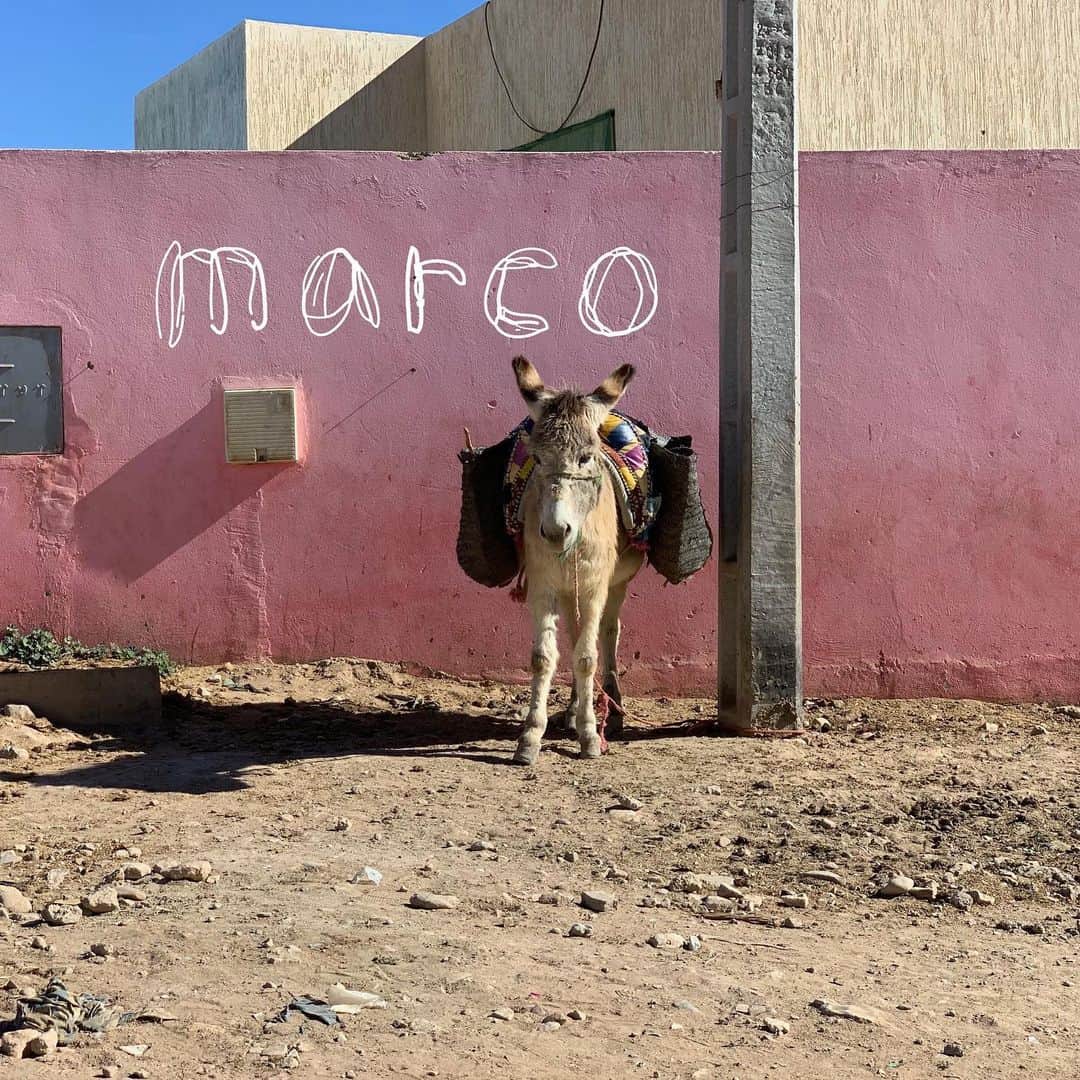 アーバンリサーチさんのインスタグラム写真 - (アーバンリサーチInstagram)「-モロッコのラグ展 by marco-﻿ ﻿ ﻿ モロッコの大西洋岸の港町「エッサウィラ」。モロッコの伝統工芸品などの良品が集まる街として、世界中の人々を魅了しています。﻿ ﻿ モロッコの逸品が集まるエッサウィラからバイイングしたラグを中心に、実店舗を持たずオンラインストアのみで販売している「marco (マルコ)」。﻿ この度、「モロッコのラグ展」と題し、関西で初となるイベントをアーバンリサーチ なんばCITY店にて開催いたします。﻿ ﻿ イベントに合わせてエッサウィラにて厳選した、上質なウールで編み込まれたベニオワレンのラグやプフを中心に、ウールをベースに、天然染料で染色したコットン、ウール、古布を幾何学的図形やパターンで手織りしているアジラルのラグも合わせて販売いたします。﻿ ﻿ 同じモロッコで作成された対照的な印象の2種類のラグは、インテリアコーディネートに新たなスパイスを加えてくれます。﻿ ﻿ 全て手織りで1点モノとなるラグを、ぜひこの機会にご覧くださいませ。﻿ ﻿ ﻿ 【開催期間】﻿ 2020年1月15日(水)〜2月2日(日)﻿ ﻿ 【開催店舗】﻿ アーバンリサーチ なんばCITY店﻿ ﻿ ﻿ -----﻿ marco プロフィール﻿ インスタグラム @marco.worldbuyer﻿ オンラインストア：https://marcoworldbuyer.com/﻿ ﻿ 出会うまえからそれぞれ世界中の良いものを見つけたり探したりするのがすきだったふたり。﻿ ﻿ まだ2人とも旅した事のない国を求めて出会ってすぐにモロッコ行きを計画。﻿ ﻿ 二人が好きなサーフィンをしながら海岸線をただひたすらに…カサブランカからあてもなく南へと車を走らせました。﻿ 観光客に人気のマラケシュやシャウエン フェズとはまったく違うルートへ。﻿ 数々のハプニングやトラブルを乗り越えてながら…﻿ ﻿ 広々とした大地で群れをなす羊たちの情景。言葉にならないほどのサンライズやサンセットを浴びながら車を走らせること数日。﻿ ﻿ 海沿いの街エッサウィラ(世界遺産)へたどり着きました。﻿ ﻿ 絶えず吹き抜ける貿易風とともにヨーロッパ アラブ アフリカ諸国の商人、そして世界中の芸術家たちのエネルギーが溶け込んだメディナに迷い込んで行きました。﻿ ﻿ そこで﻿ 美しいモロッコラグ達と出会いました。﻿ -----﻿ ﻿ ﻿ ﻿ #ベニオワレン﻿ #ベニワレン﻿ #アジラル﻿ #モロッコ﻿ #モロッコラグ﻿ #Morocco﻿ #urbanresearch﻿ #なんばcity﻿ #marcoworldbuyer」1月11日 10時59分 - urban_research