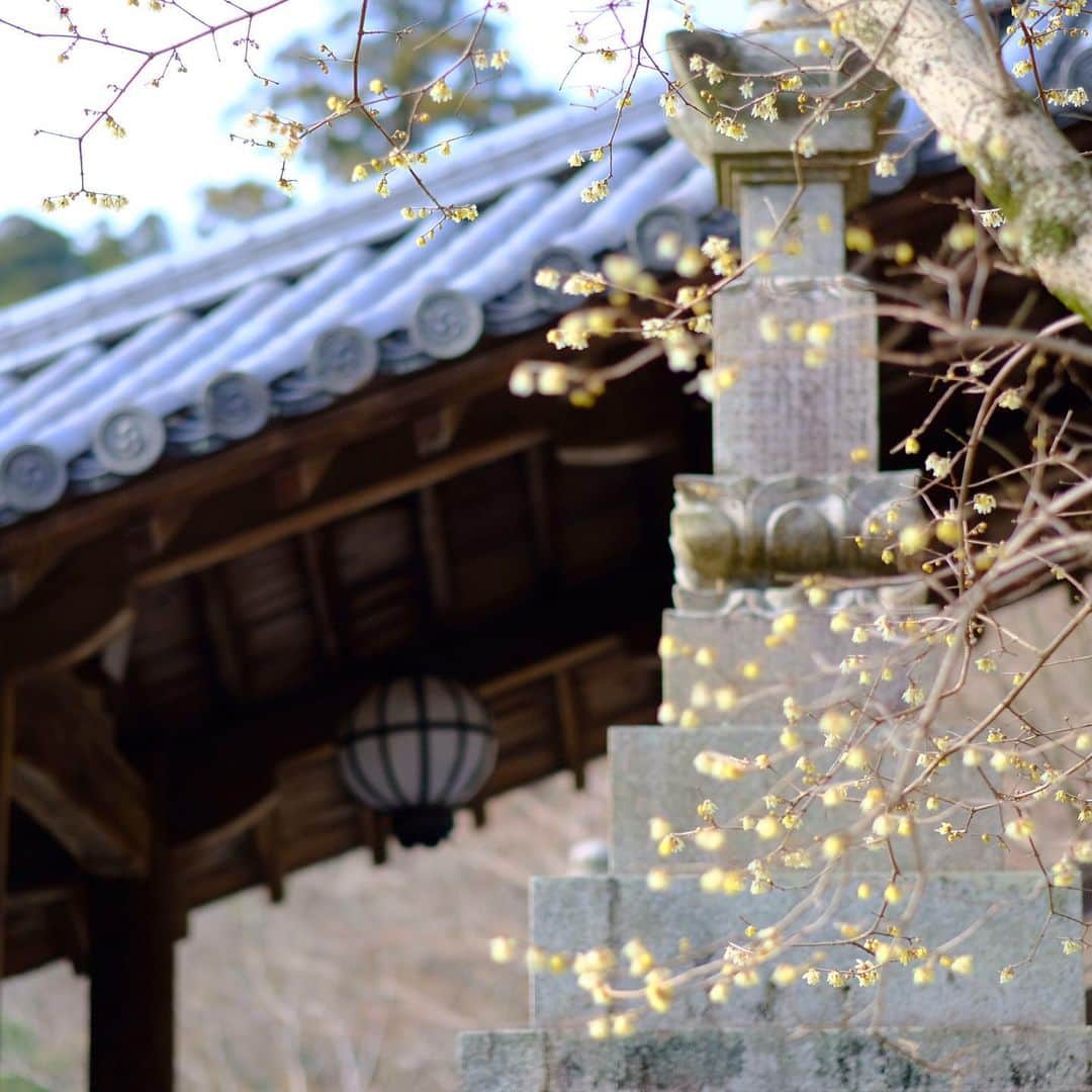奈良 長谷寺 / nara hasederaのグルメインスタ