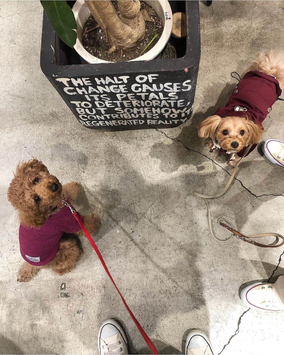 前山奈津巴のグルメインスタ