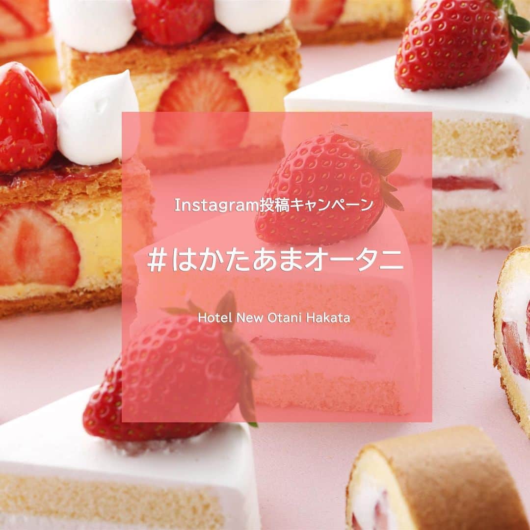 ホテルニューオータニ博多さんのインスタグラム写真 - (ホテルニューオータニ博多Instagram)「【ホテル de いちご狩り Instagramキャンペーン】﻿ ﻿  1月28日より3月31日までの期間「#はかたあまオータニ」のInstagramキャンペーンを開催いたします！﻿ ﻿  Step①﻿  当アカウント @newotani_hakata_official をフォロー﻿  Step②﻿  ナイトスイーツビュッフェ“ホテル de いちご狩り” 12daysの写真/動画を撮影する﻿  Step③﻿  当アカウント @newotani_hakata_official をタグ付けし、#はかたあまオータニ を付けて投稿する﻿ ﻿  上記のStep①②③を満たした投稿をされた方の中から抽選で、宿泊券や食事券が当たります！ぜひご参加ください。  #はかたあまオータニ」1月11日 11時32分 - newotani_hakata_official