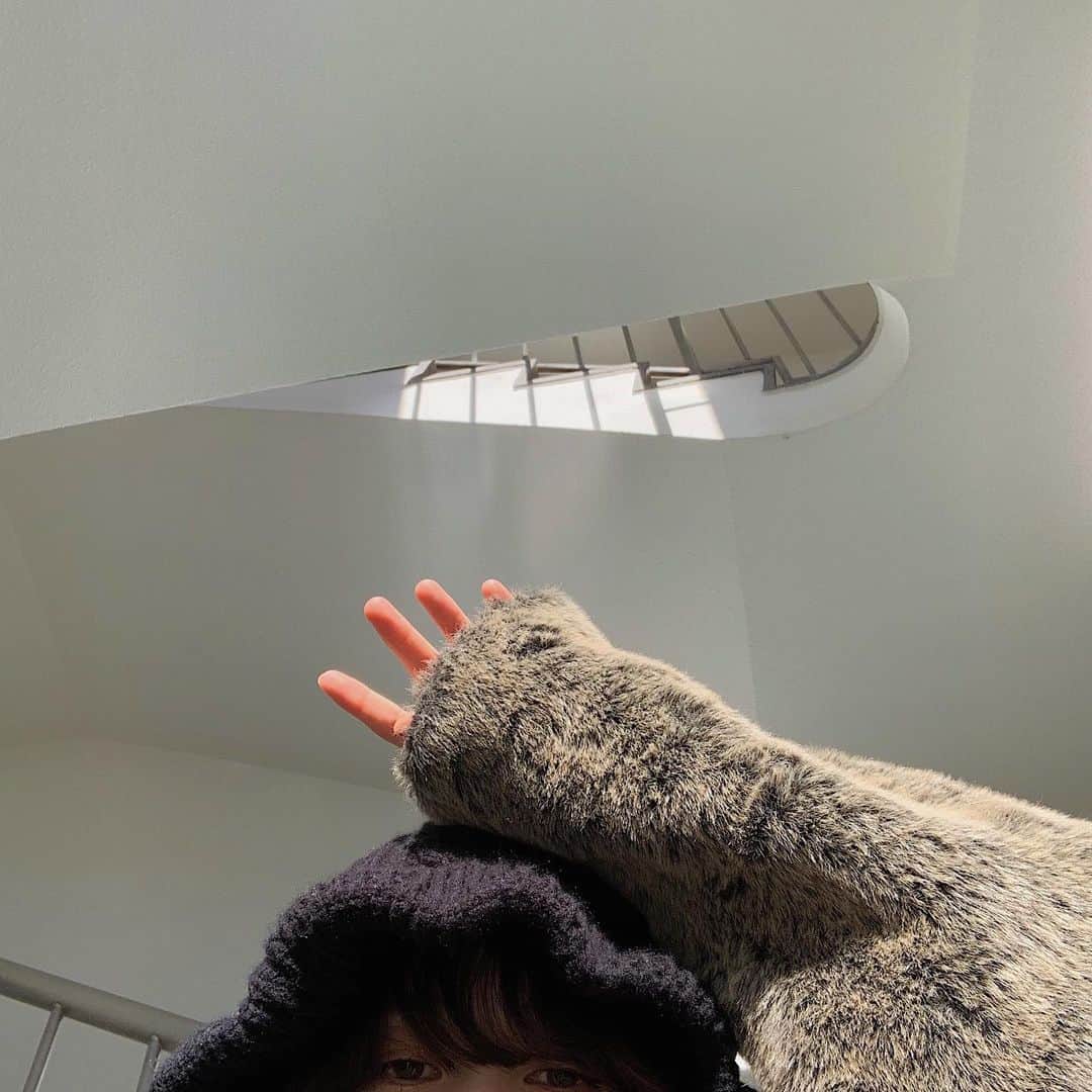 吉河唯さんのインスタグラム写真 - (吉河唯Instagram)「ぼけ〜としてたら 2020年もう10日たってる(・o・)やっと正月気分抜けてきた( という特に意味のない写真 ) 今年の目標はリビングのソファの生地張り替える！💺」1月11日 12時14分 - yui_yoshikawa