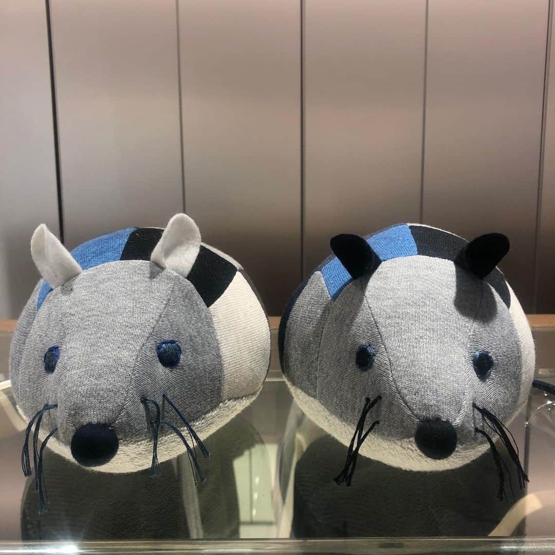 ループウィラーさんのインスタグラム写真 - (ループウィラーInstagram